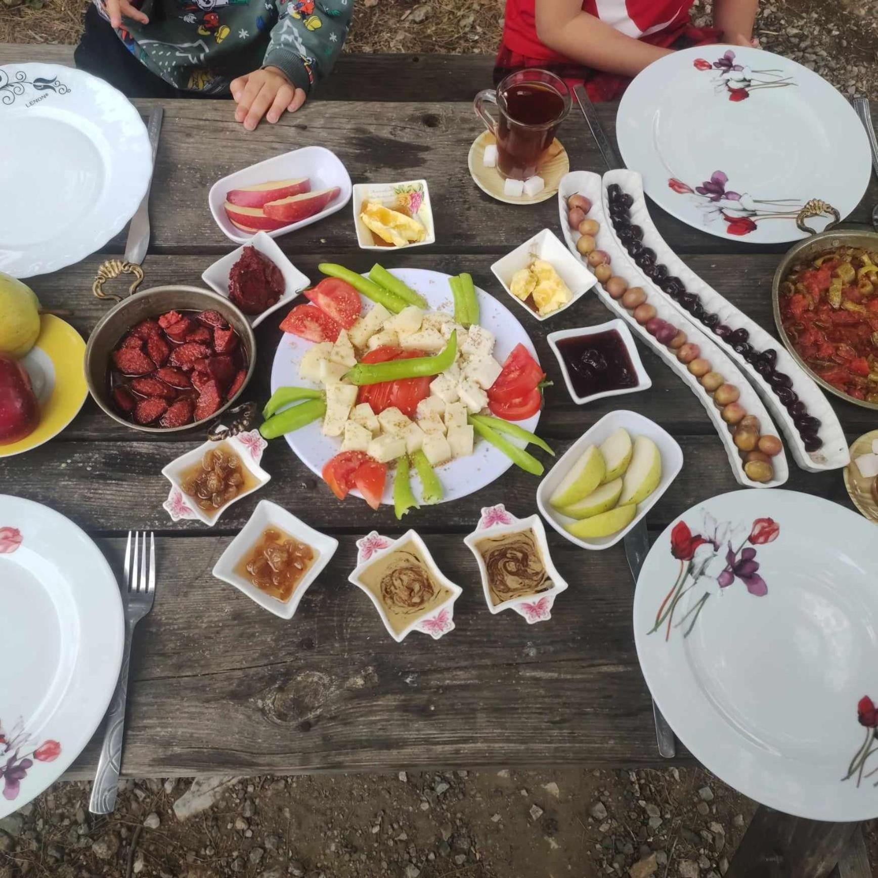 ida bay doğa evleri
