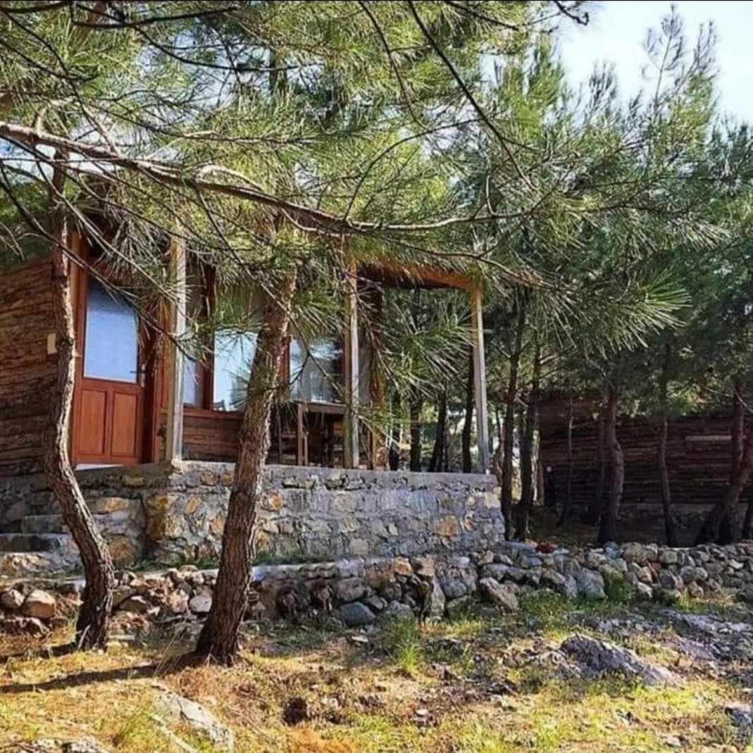 ida bay doğa evleri