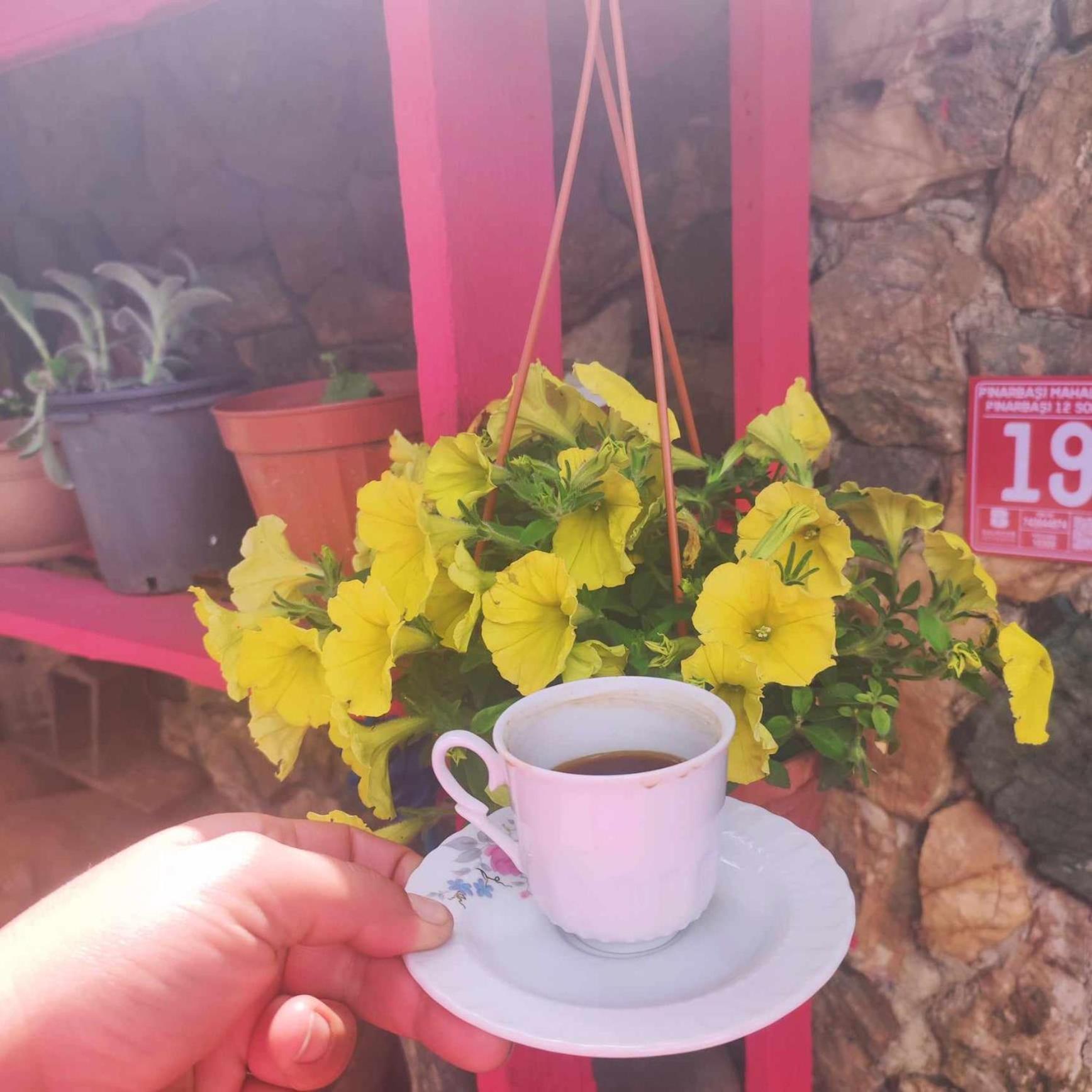 ida bay doğa evleri