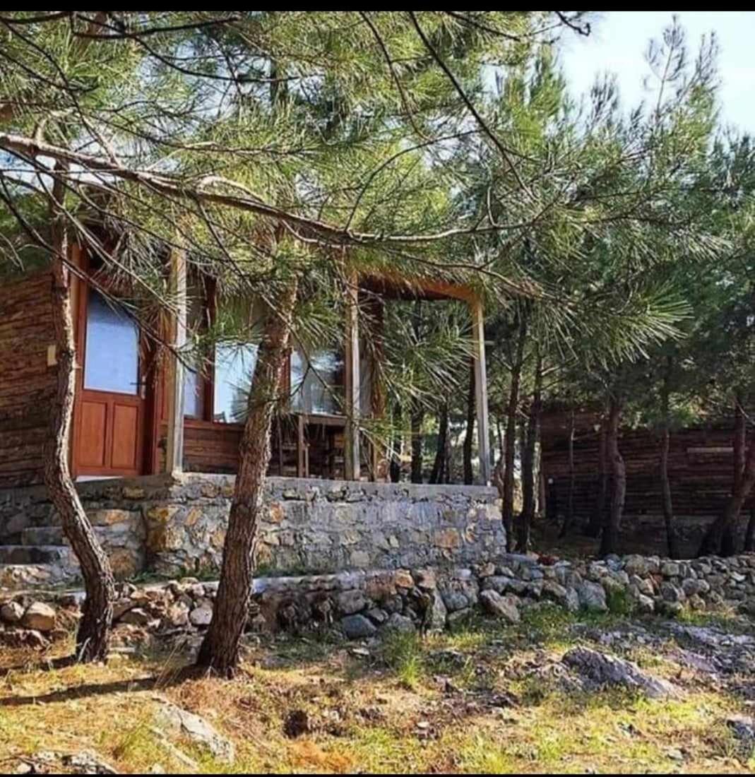 ida bay doğa evleri