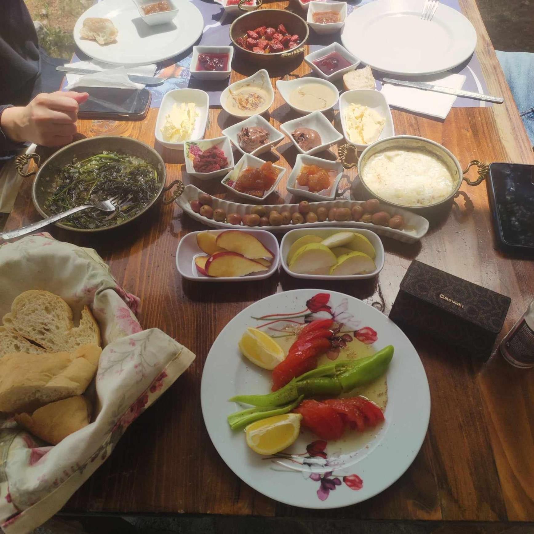 ida bay doğa evleri