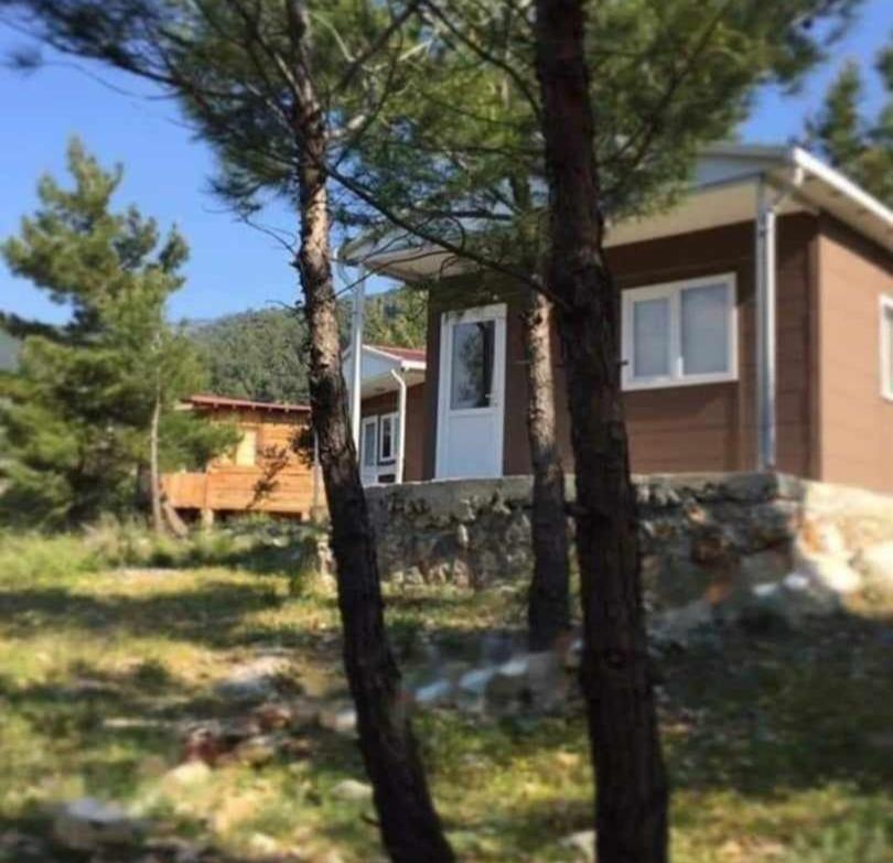 ida bay doğa evleri