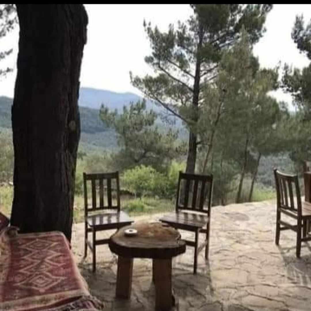 ida bay doğa evleri