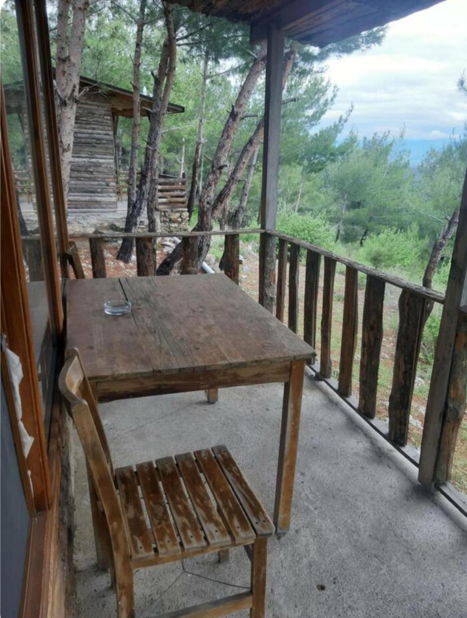 ida bay doğa evleri