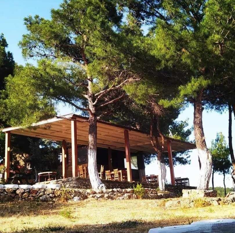 ida bay doğa evleri