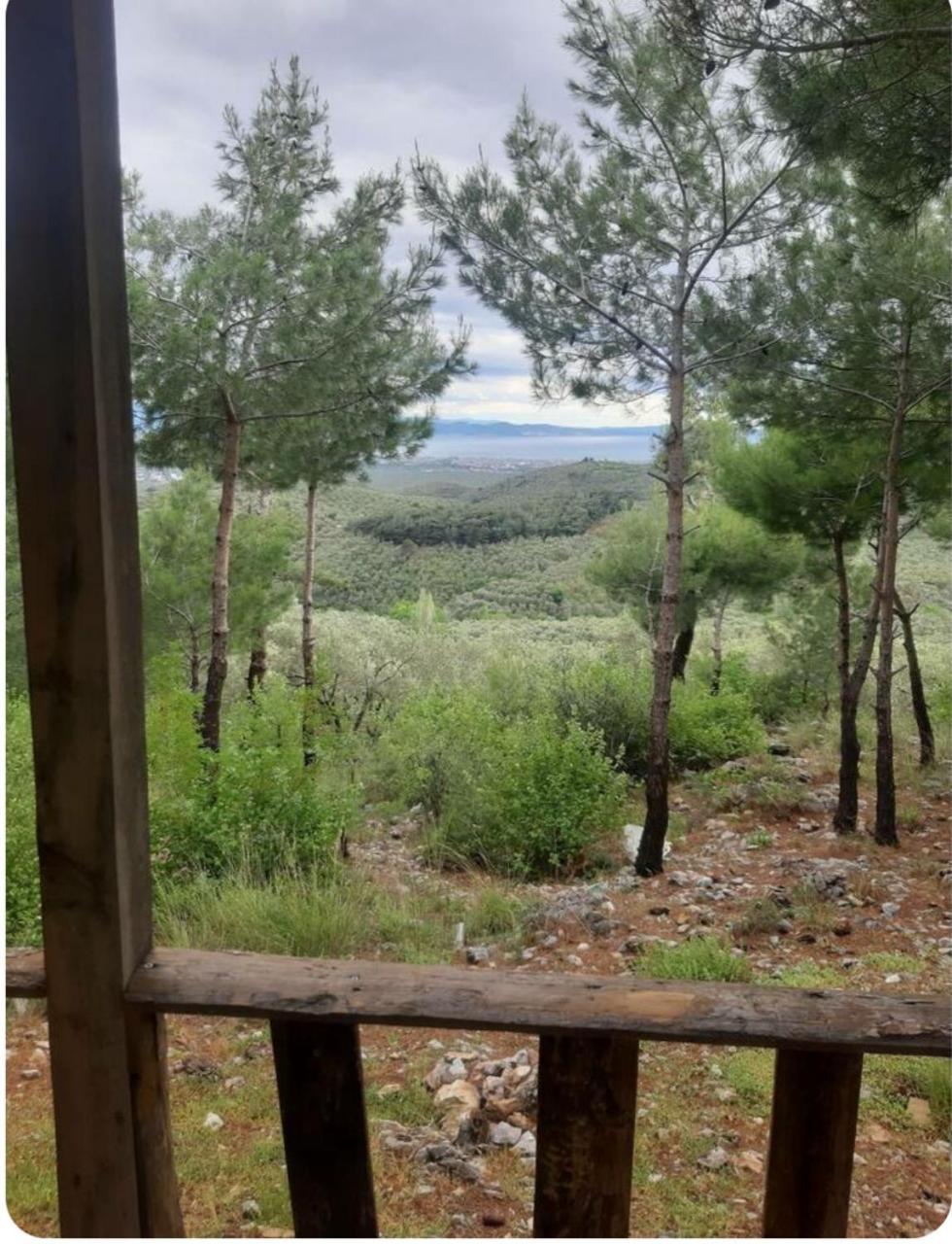ida bay doğa evleri