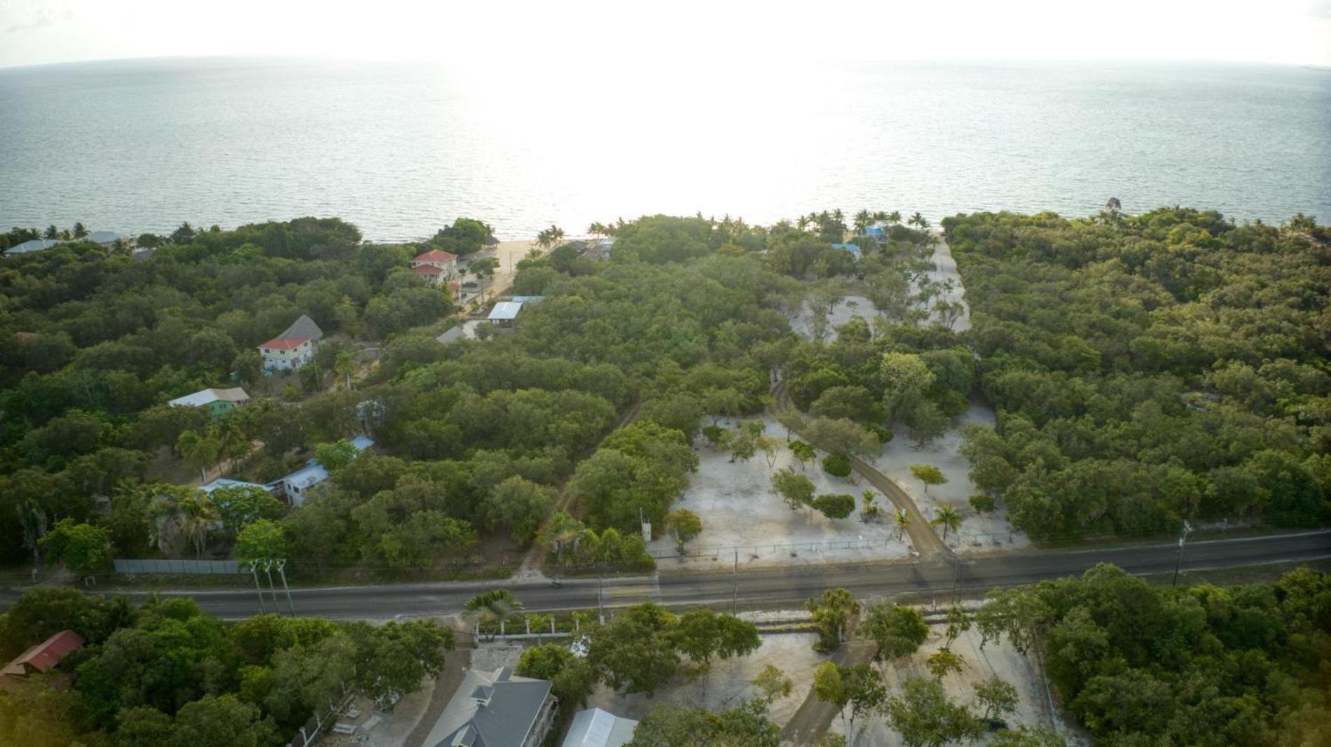Dolphin Beach - Private Oceanfront 4-Bed Villa wPool on Huge Lot