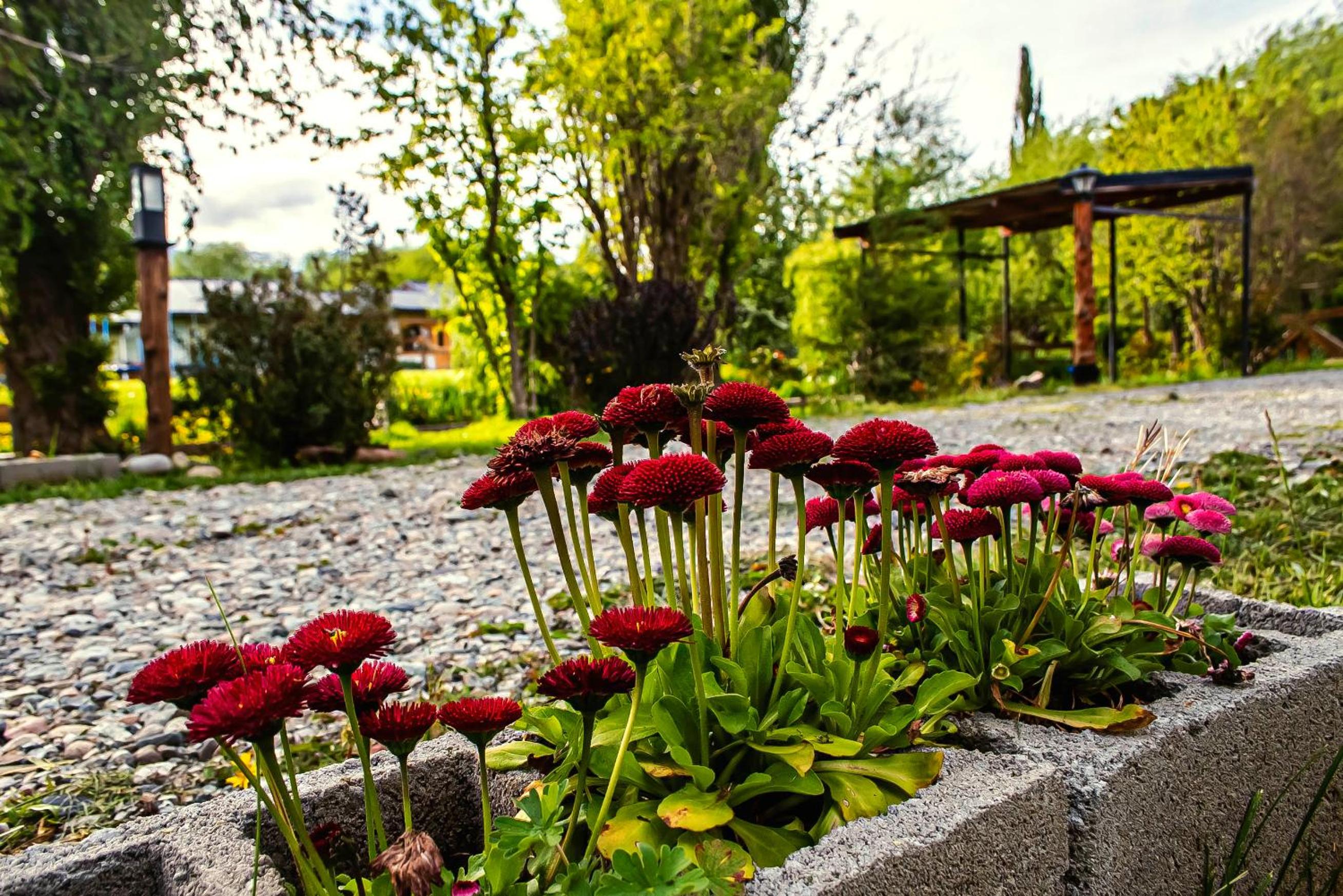 Cabañas Patagonia Rupestre