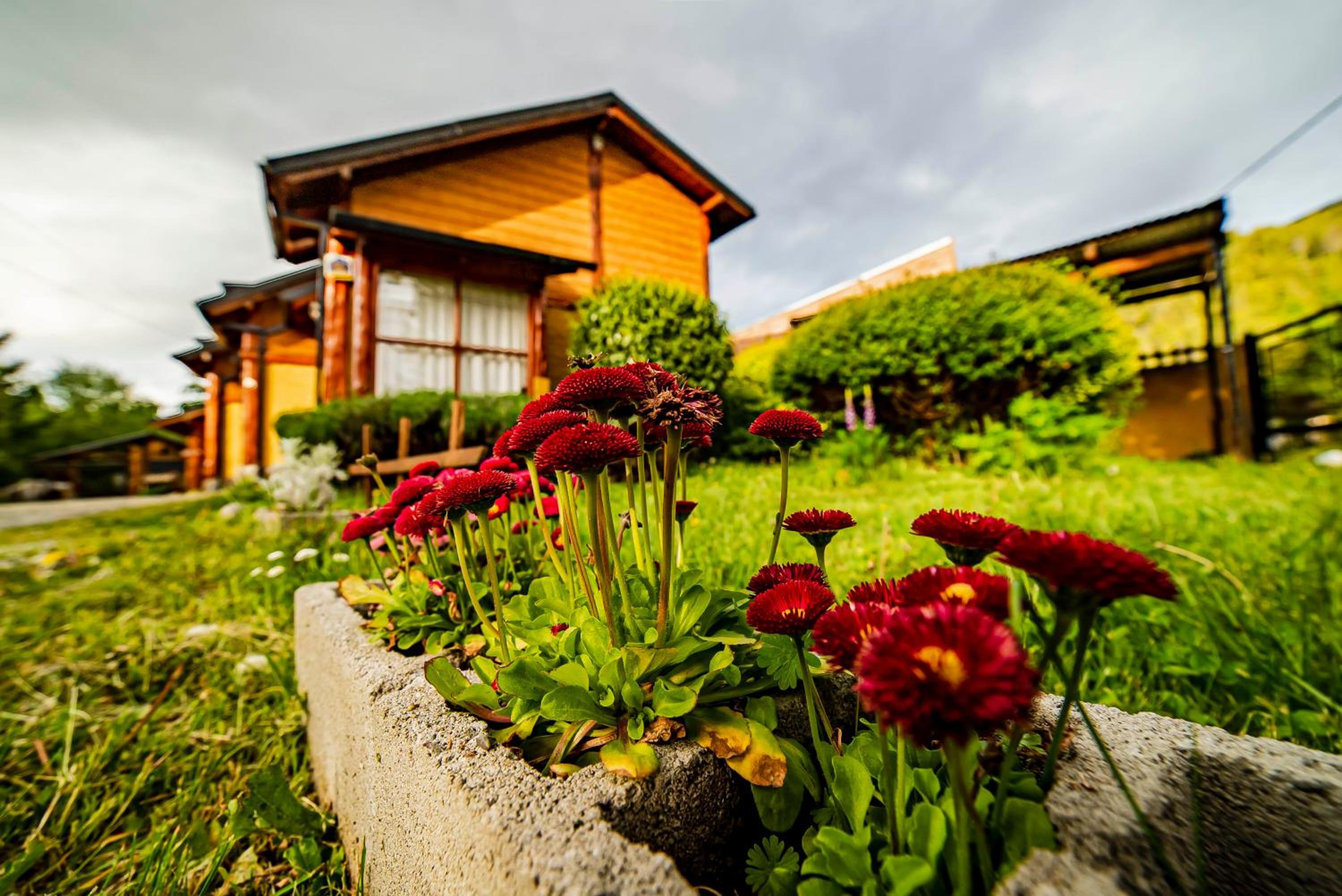 Cabañas Patagonia Rupestre