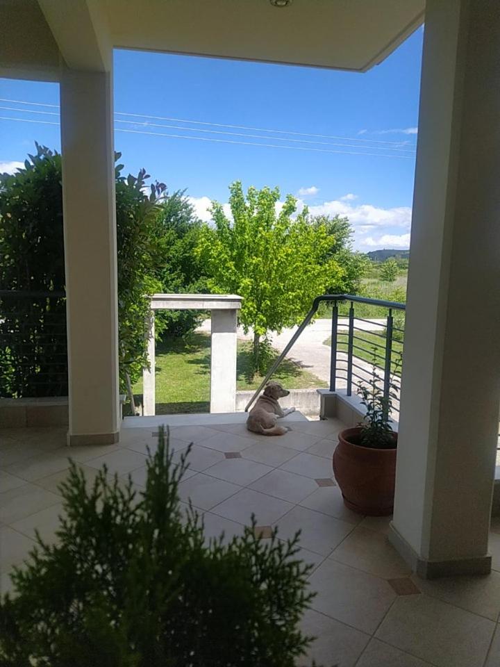 Valley House - Στην εξοχή 3 υπνοδωμάτια 2 μπάνια view 5