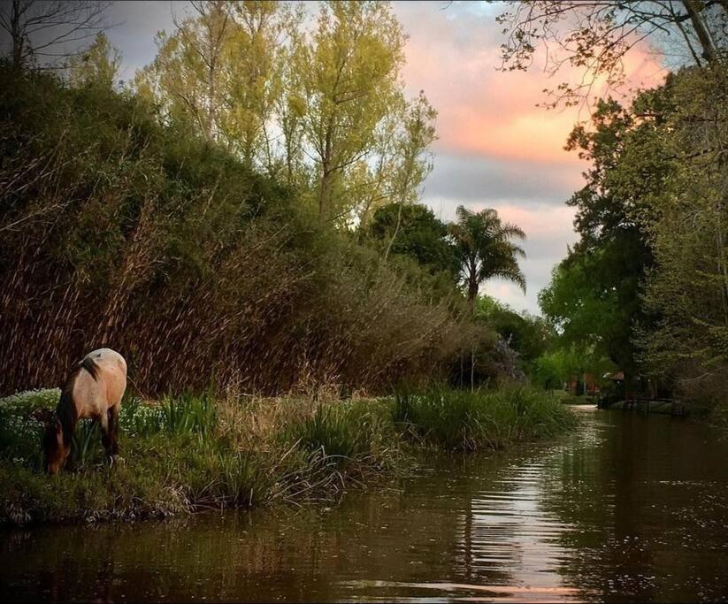 Casa en el Delta, Tigre - Quinta La Magnolia