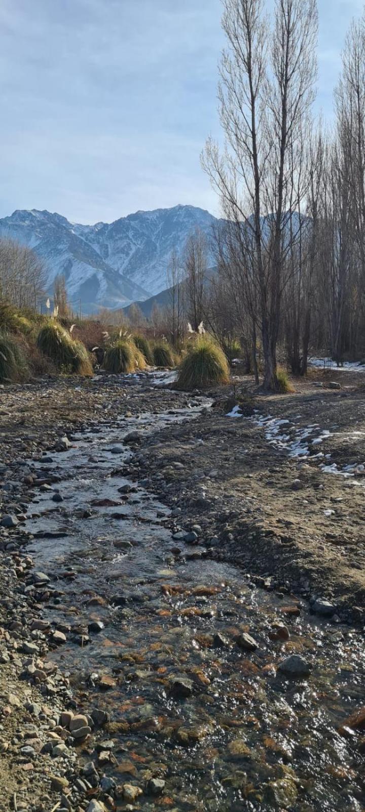 Las Lavandas Potrerillos