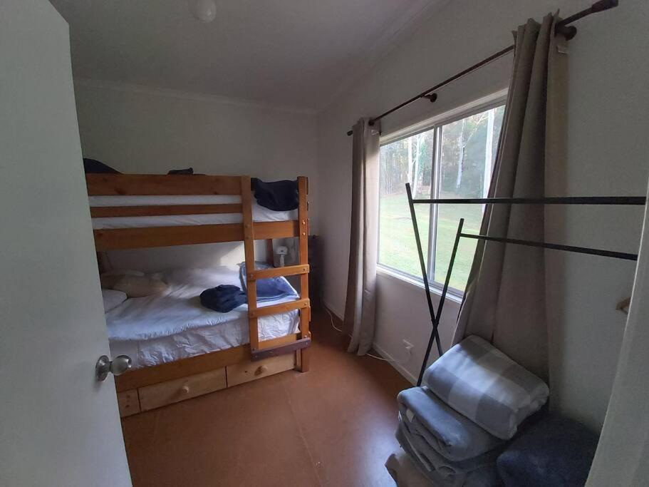 Eucalyptus Escape - Privacy in the Hinterland