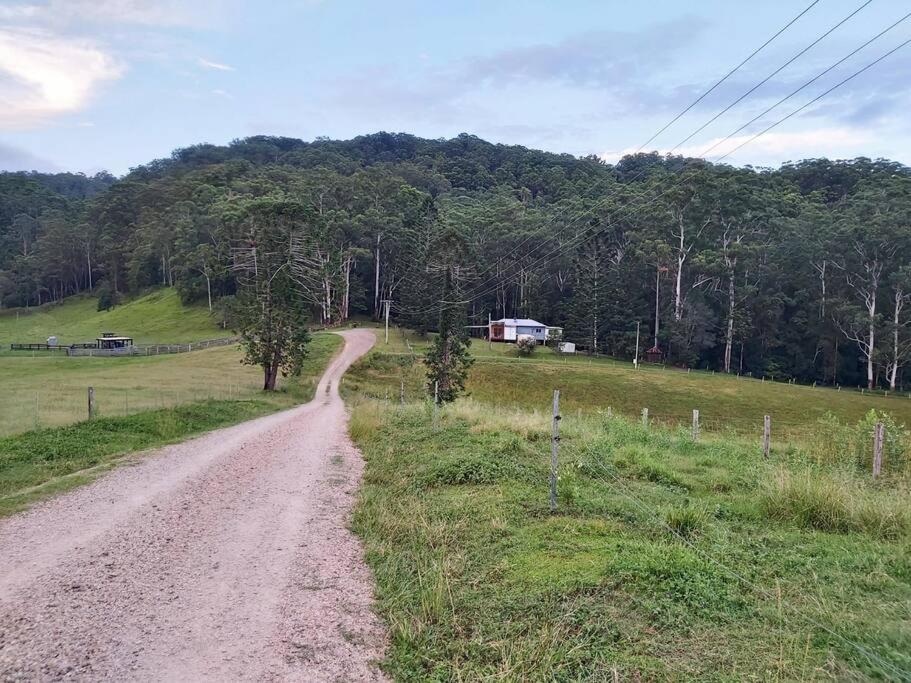 Eucalyptus Escape - Privacy in the Hinterland