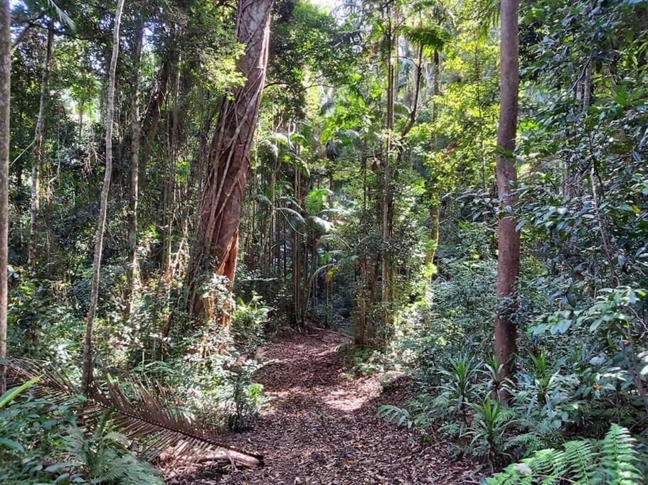 Eucalyptus Escape - Privacy in the Hinterland