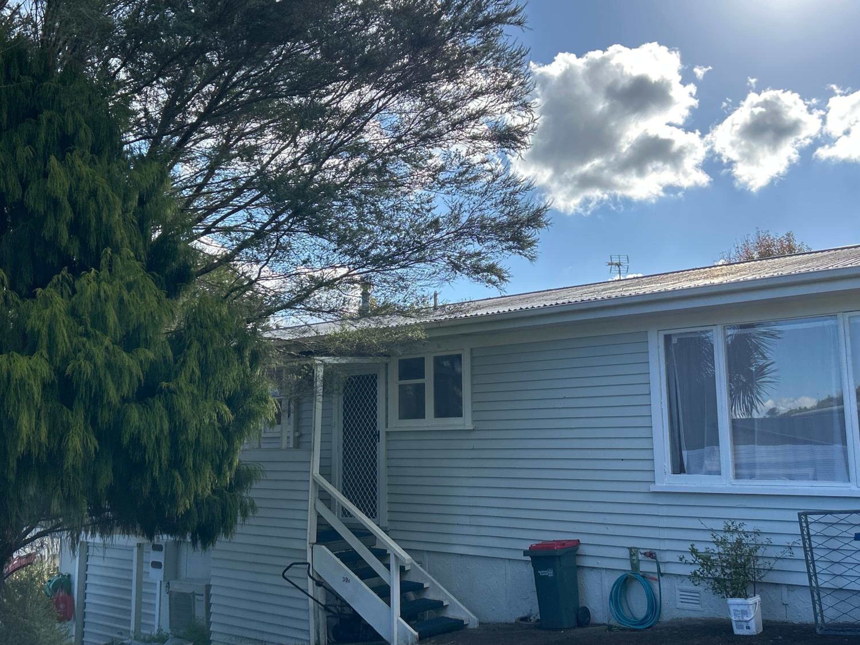 Titirangi Holiday Home view 4