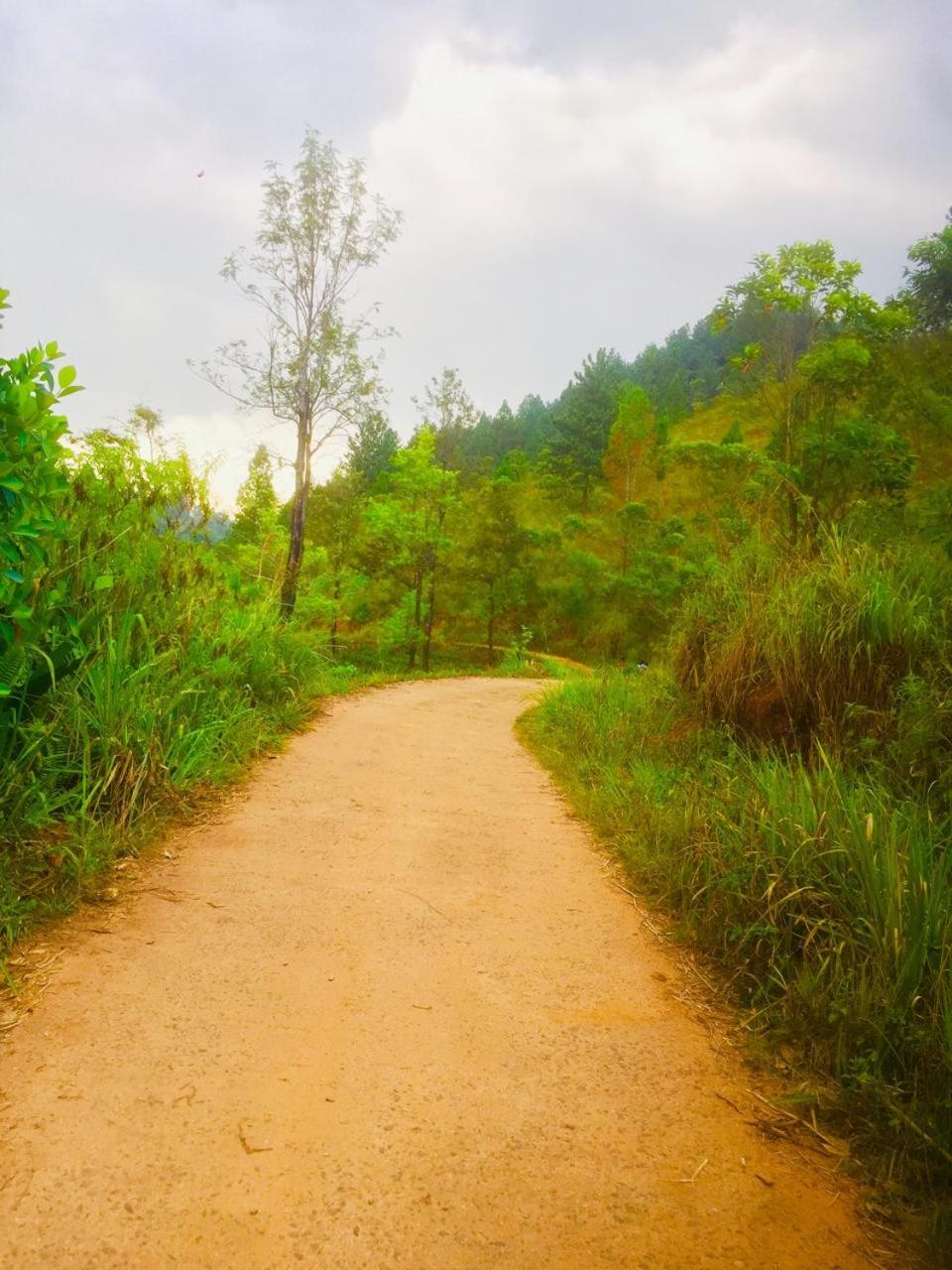 The Off Road Homestay