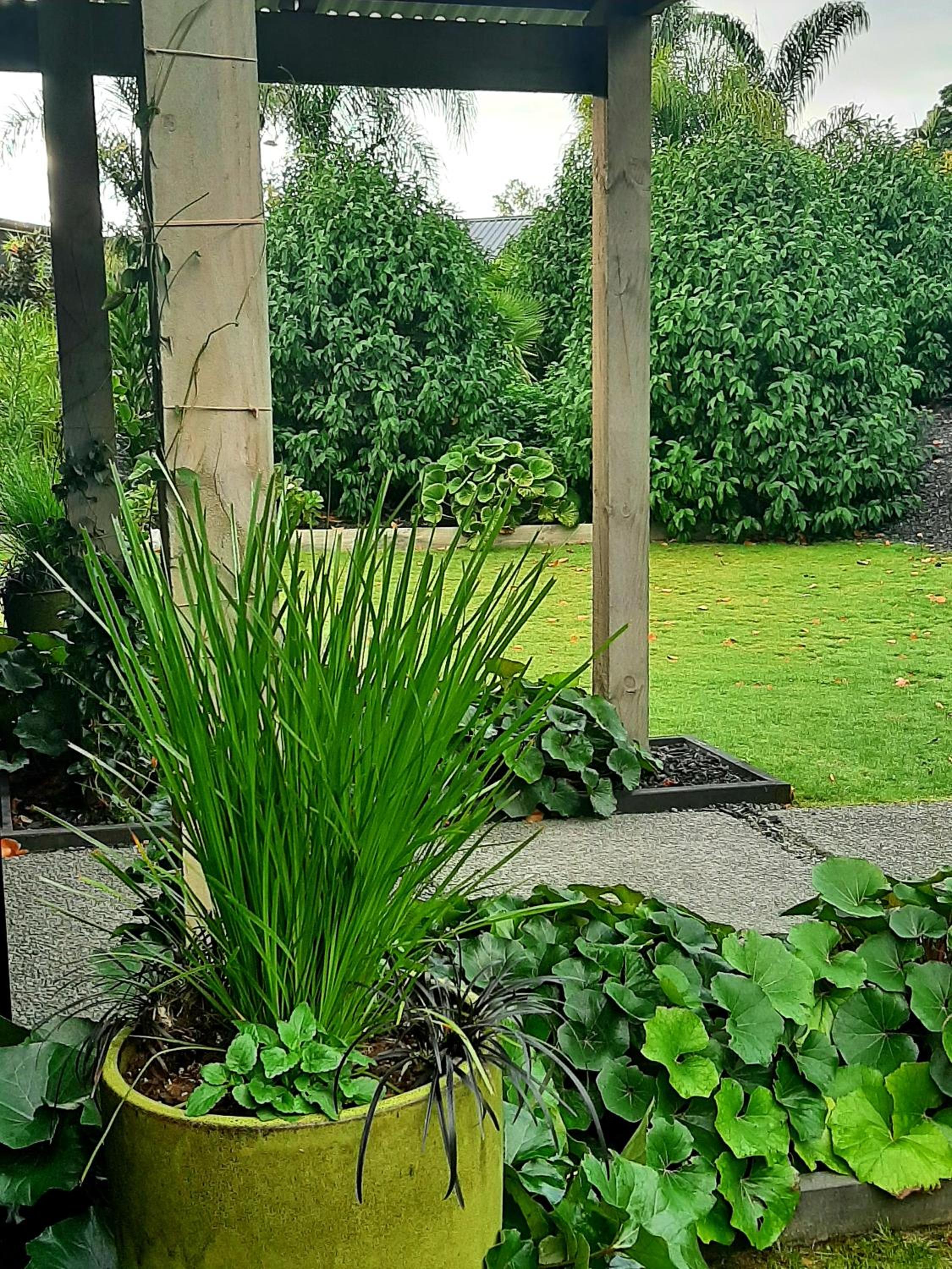 Photo 25
