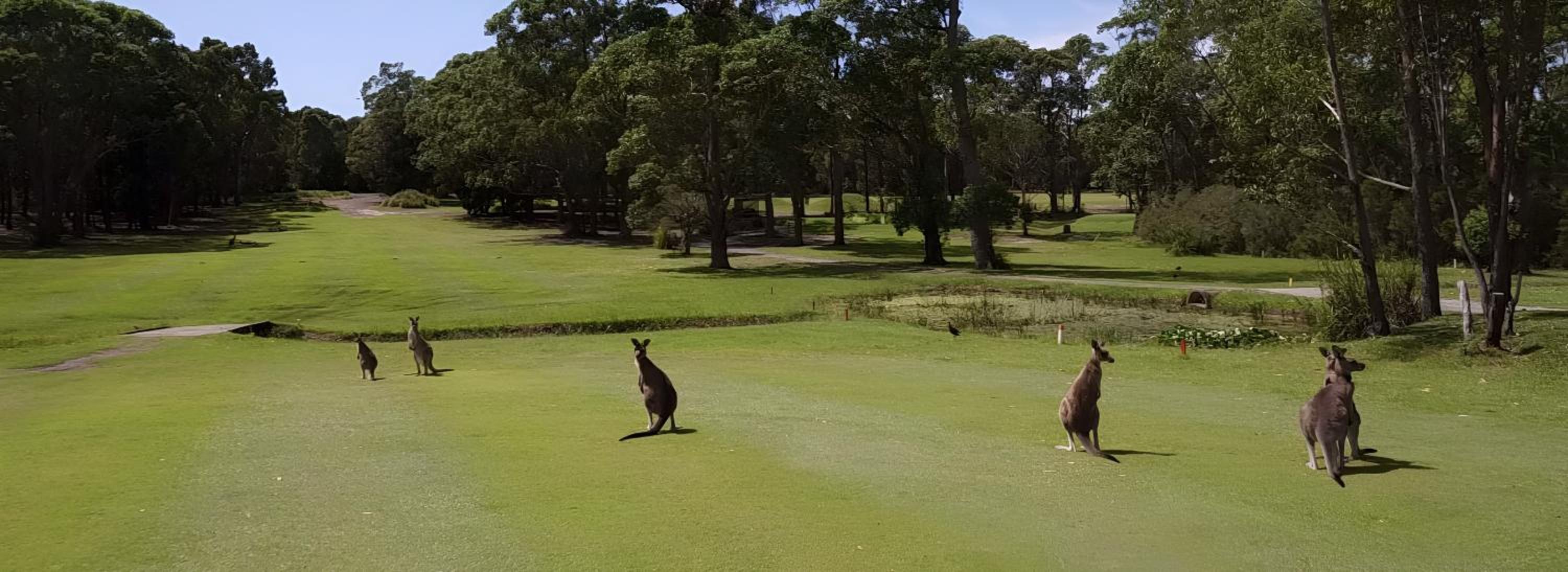 Fairway to Heaven