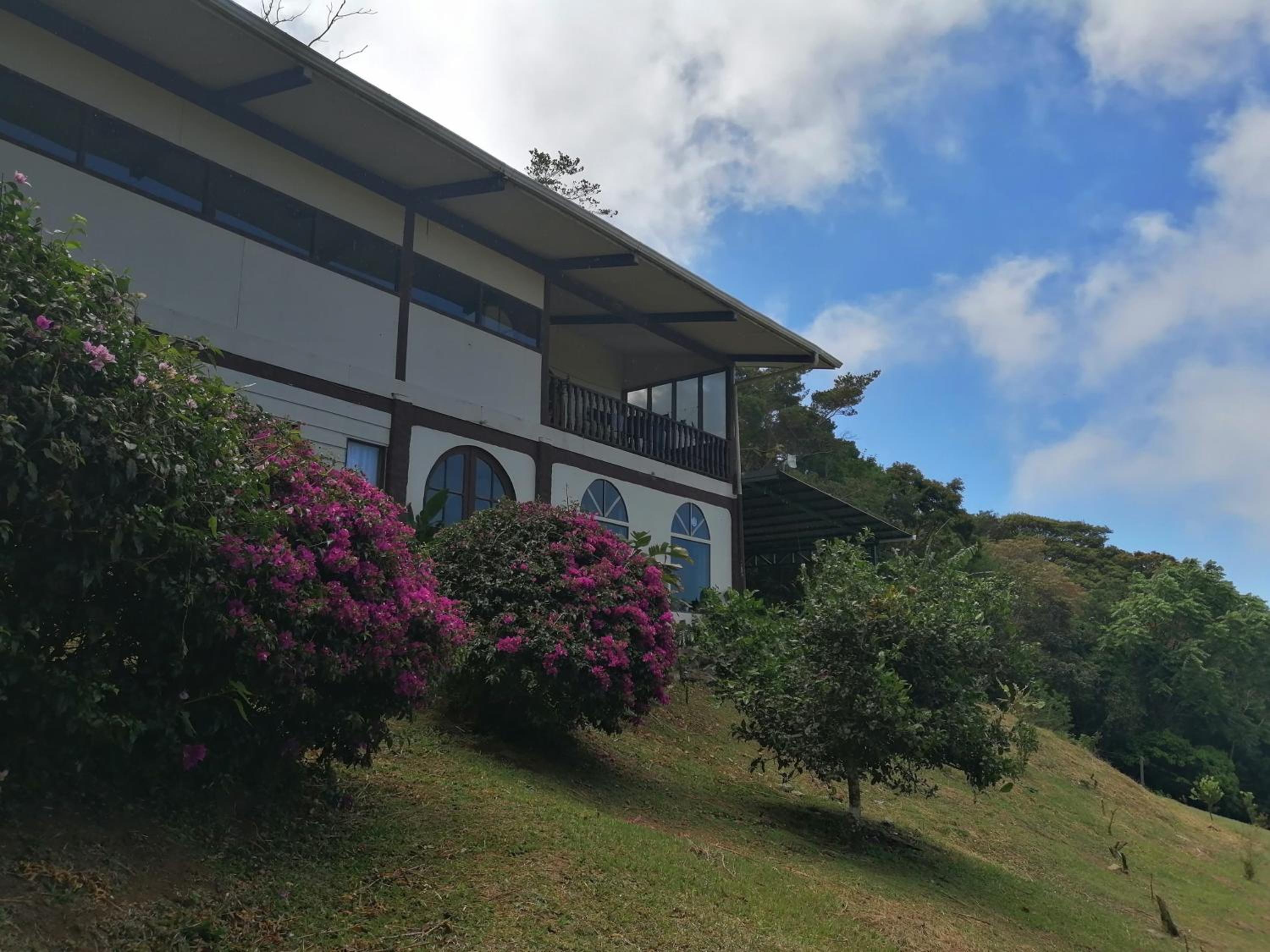 Rainbow House