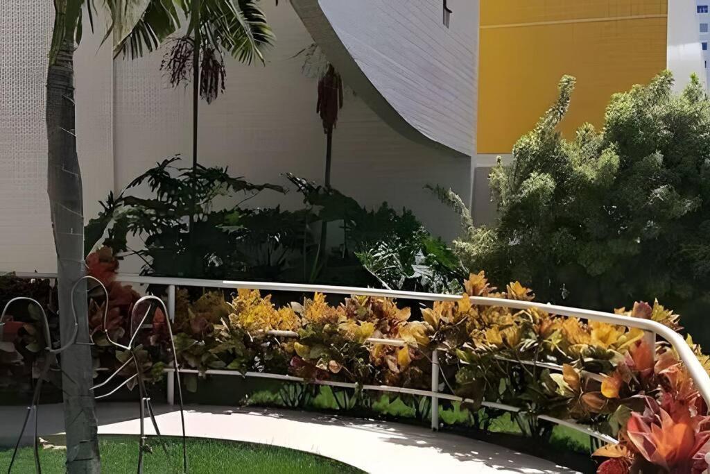 Apartamento encantador 02 dormitórios Maurício de Nassau