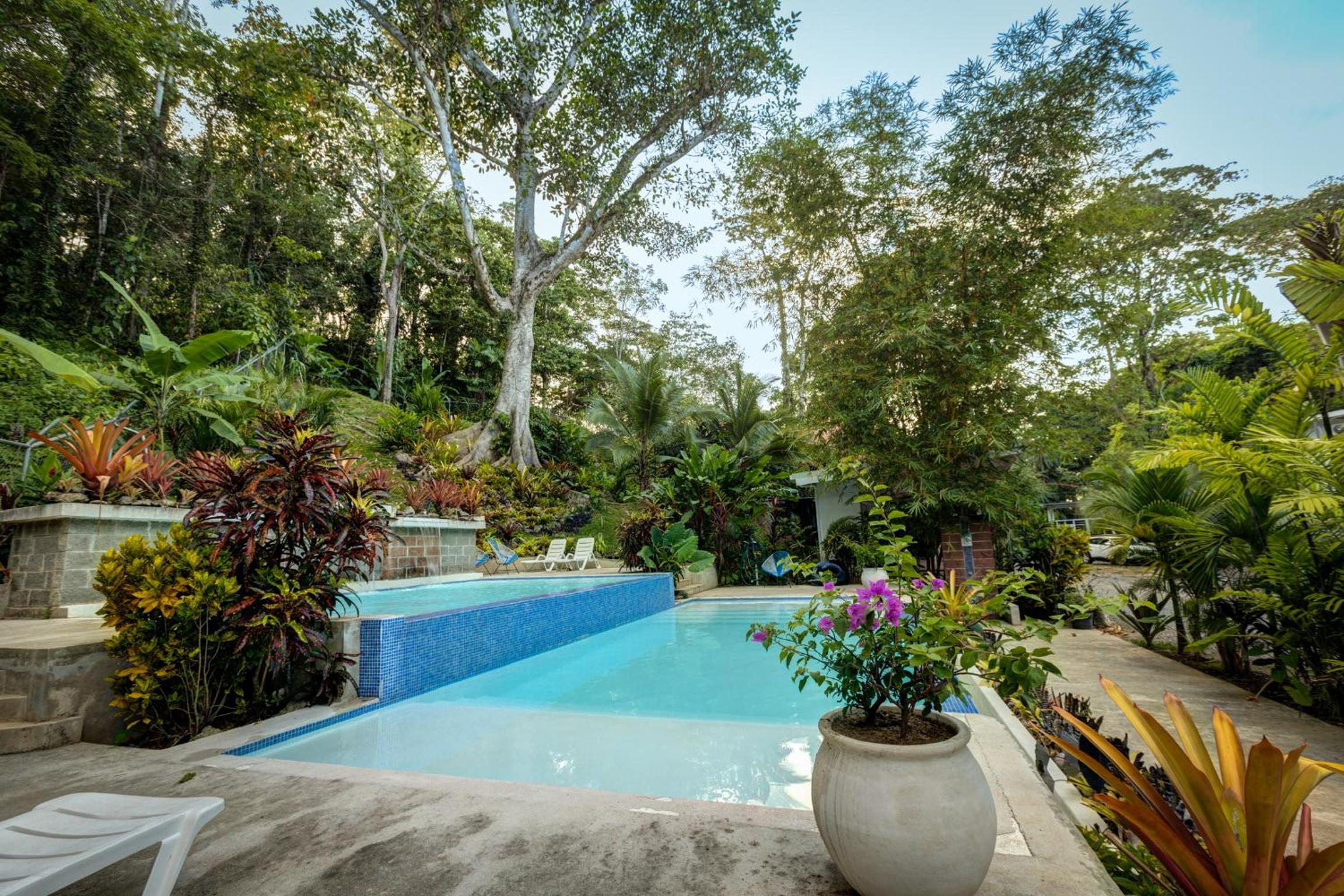 Casa Toucan 2 bedroom 2 bath includes AC in house a shared gym and infinity pool and 5 min walk to the beach