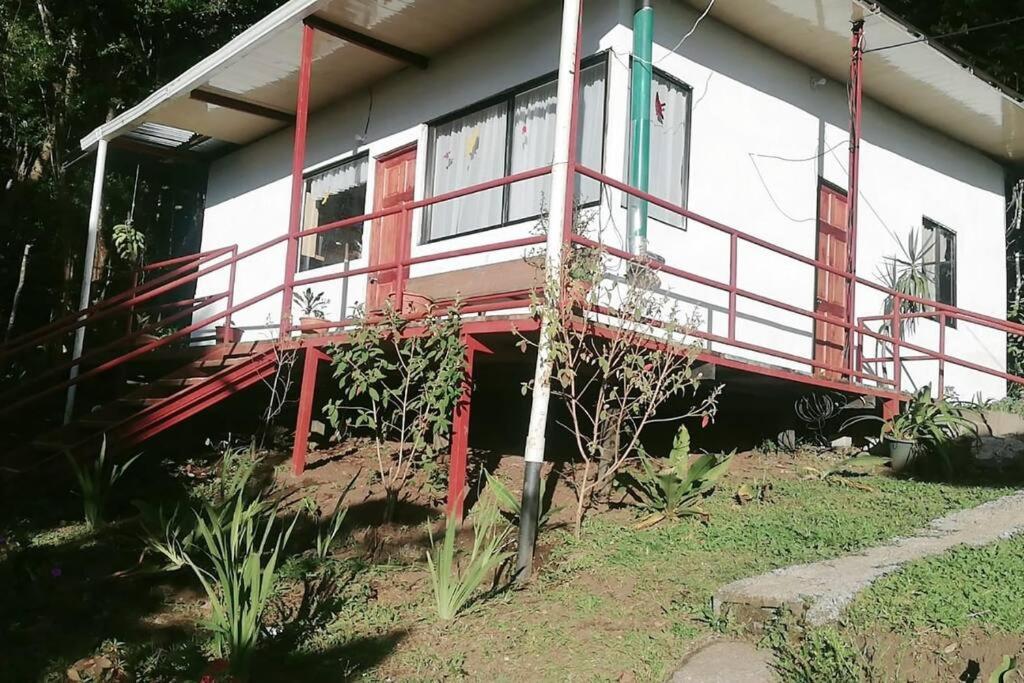 Rainbow House Cabin