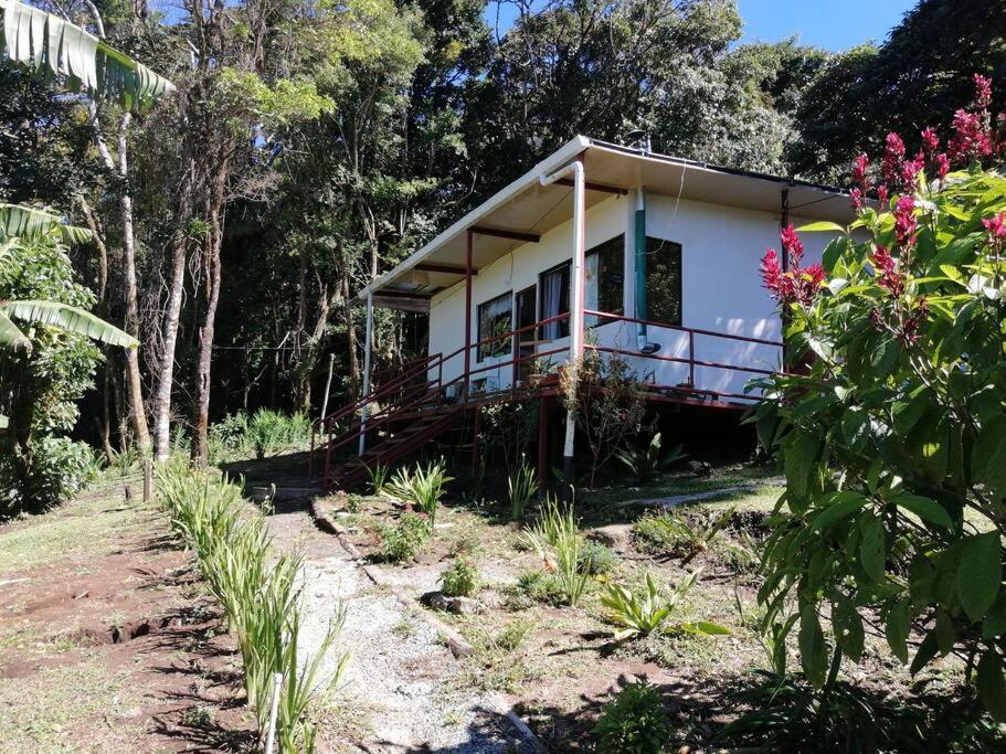 Rainbow House Cabin