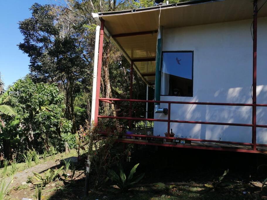 Rainbow House Cabin