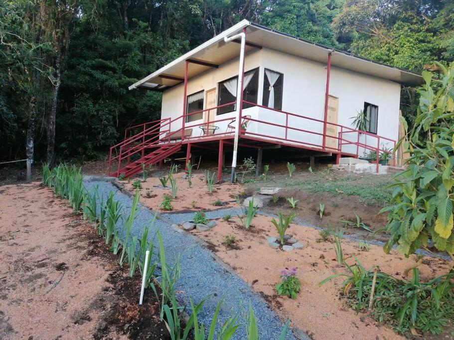 Rainbow House Cabin