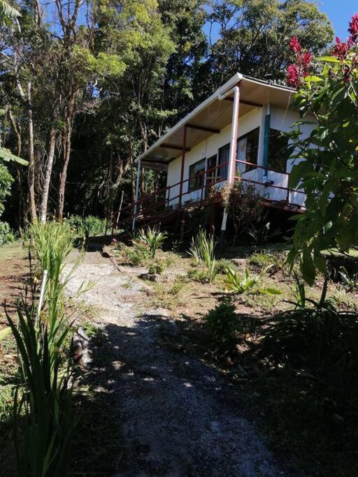 Rainbow House Cabin