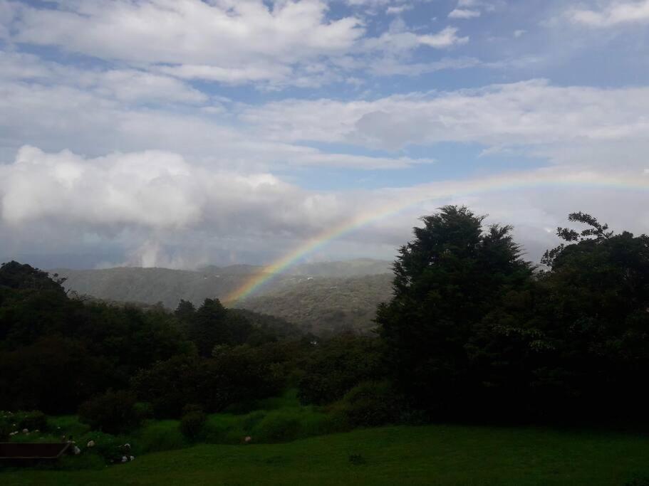 Rainbow House Cabin