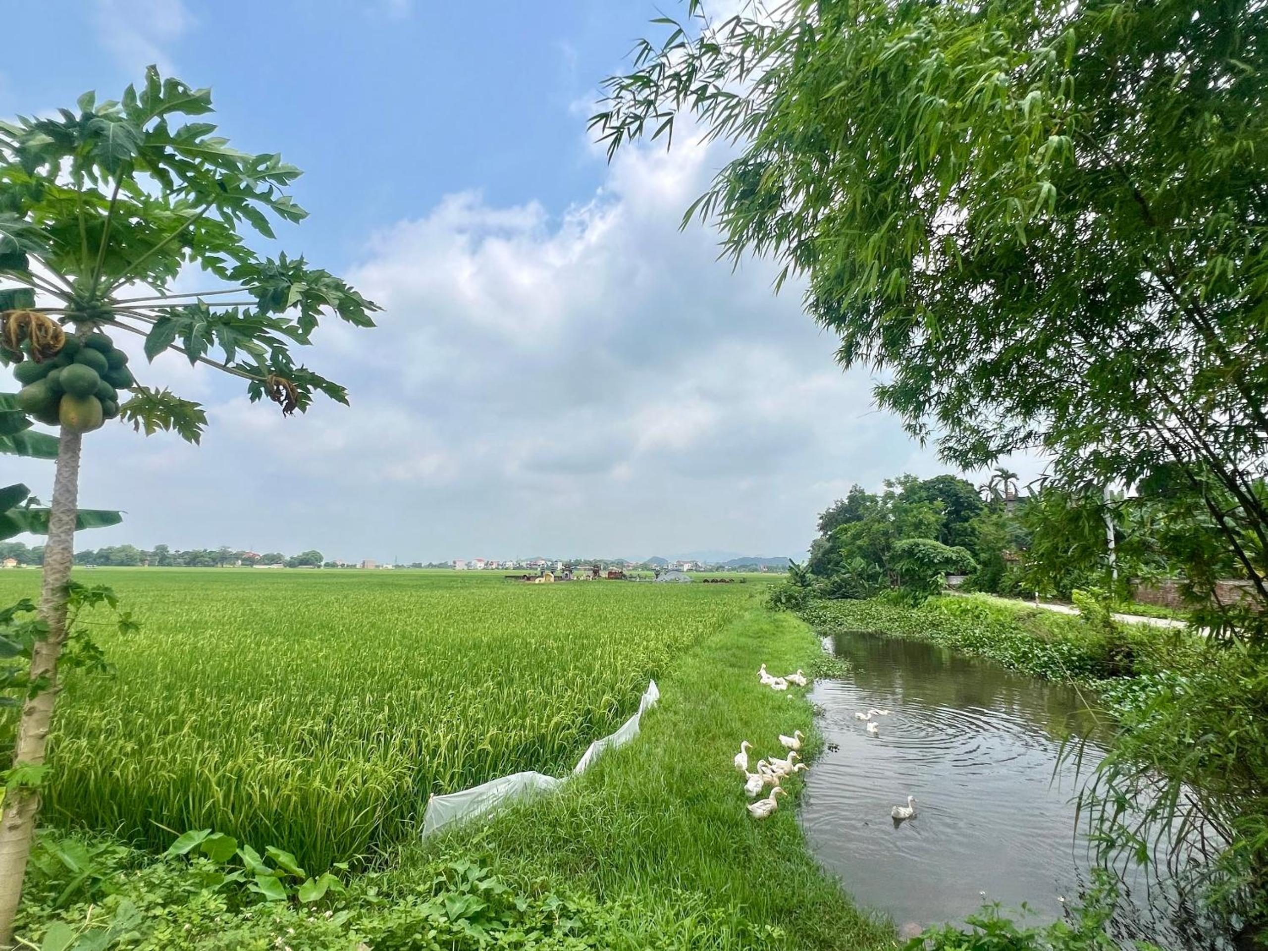 Lala Boutique Villas Ninh Binh