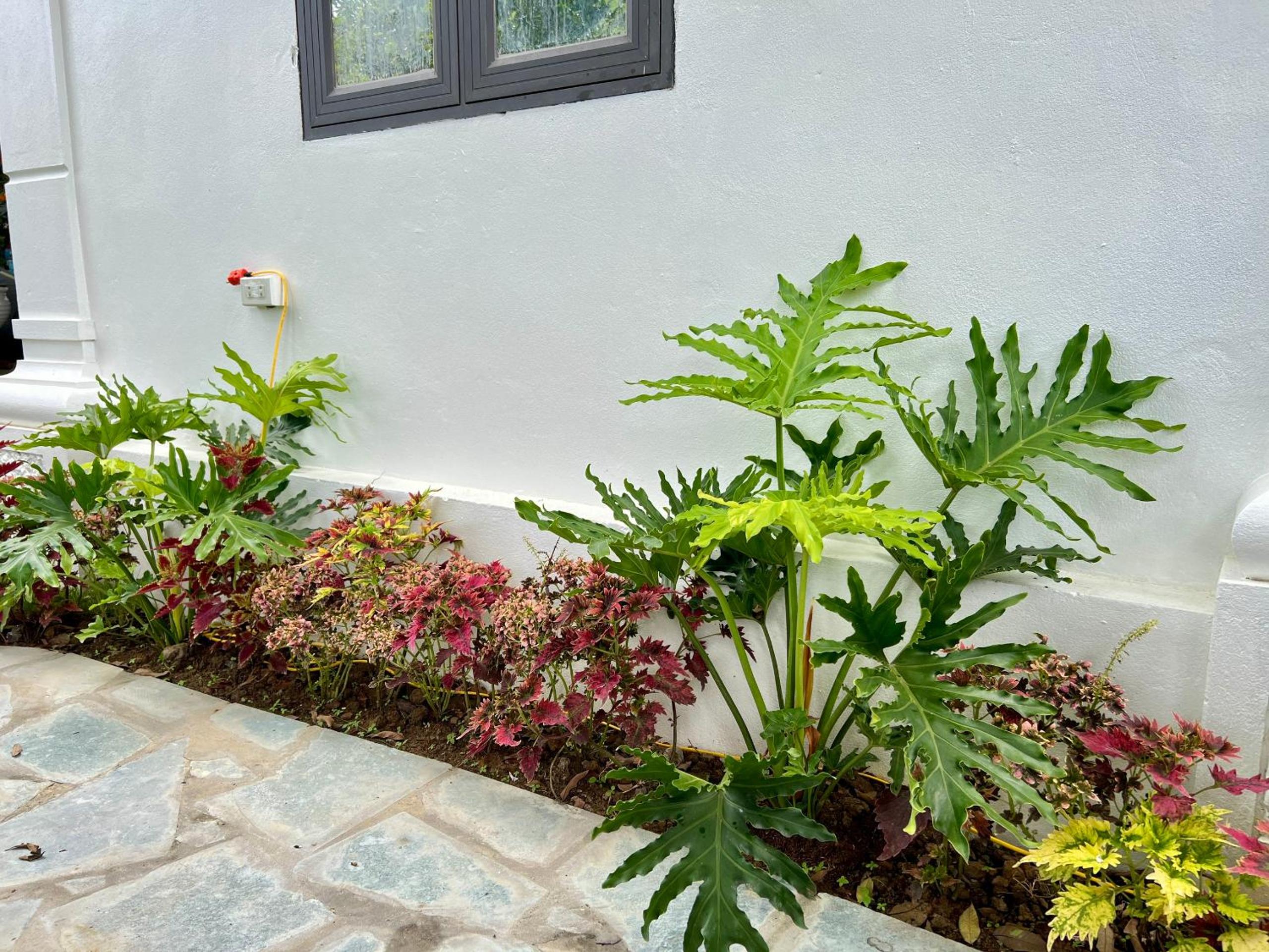 Lala Boutique Villas Ninh Binh