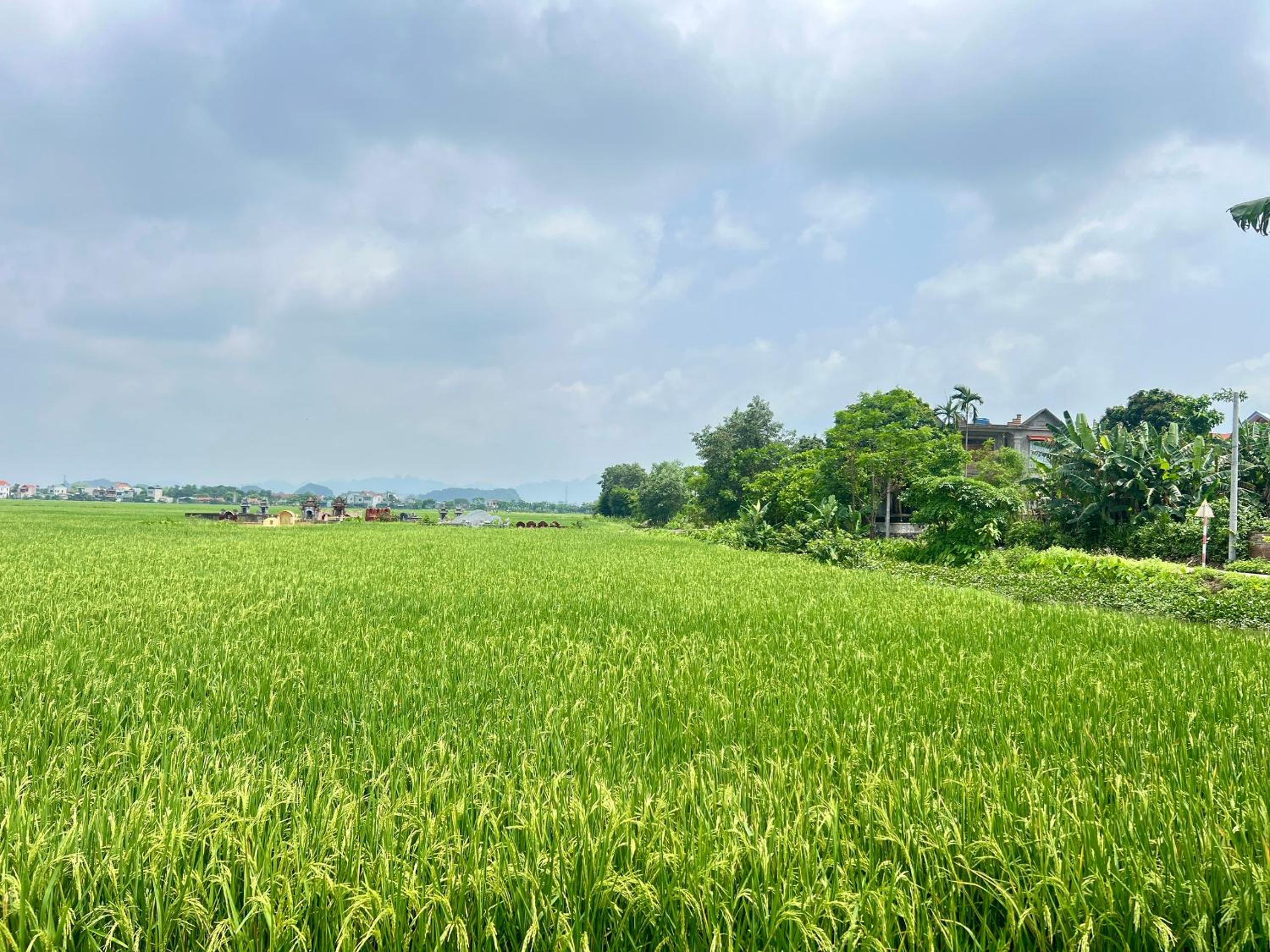 Lala Boutique Villas Ninh Binh