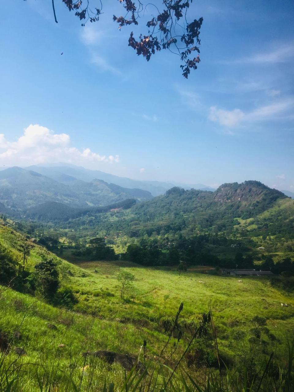The Off Road Homestay