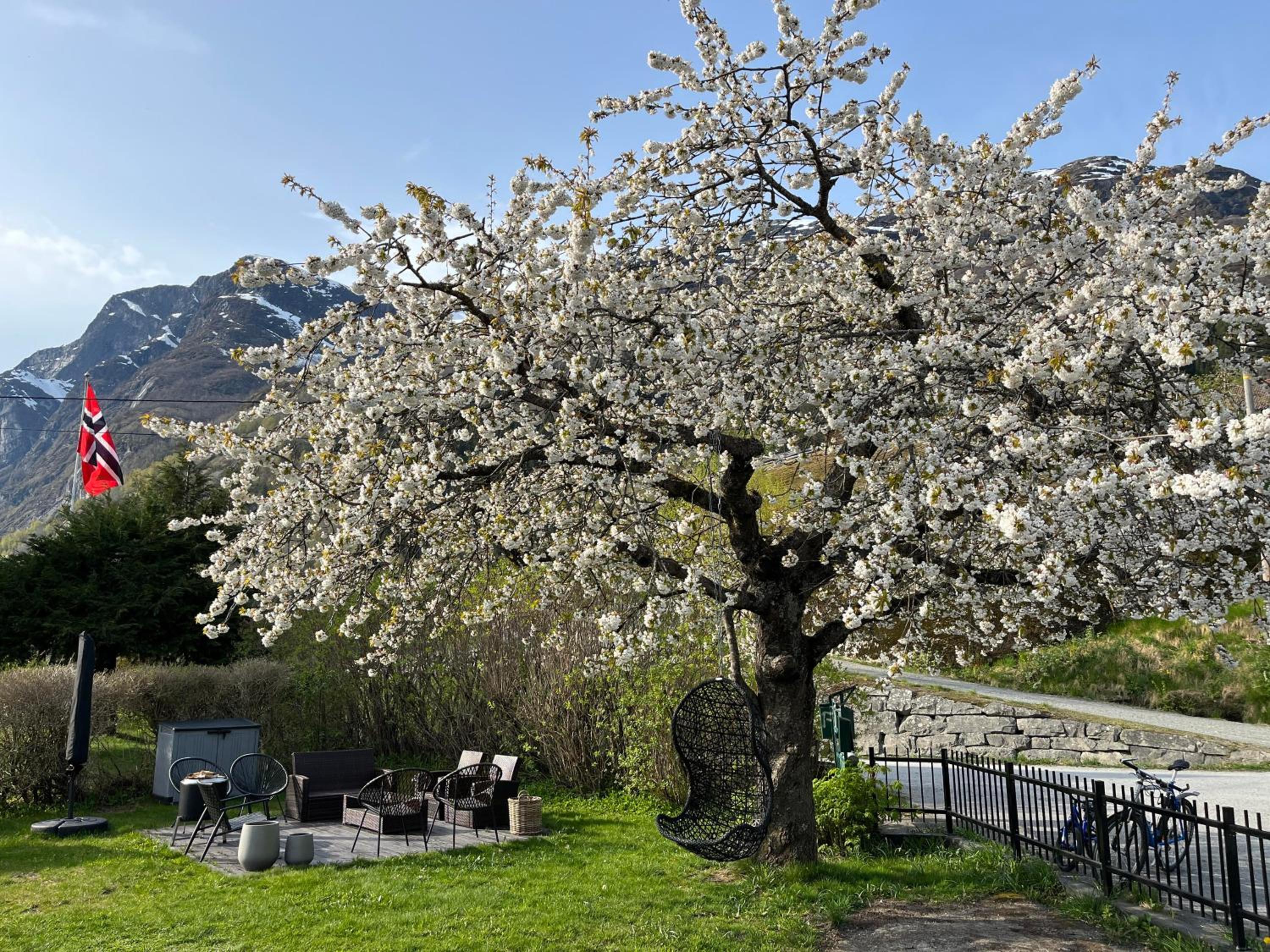Photo 42