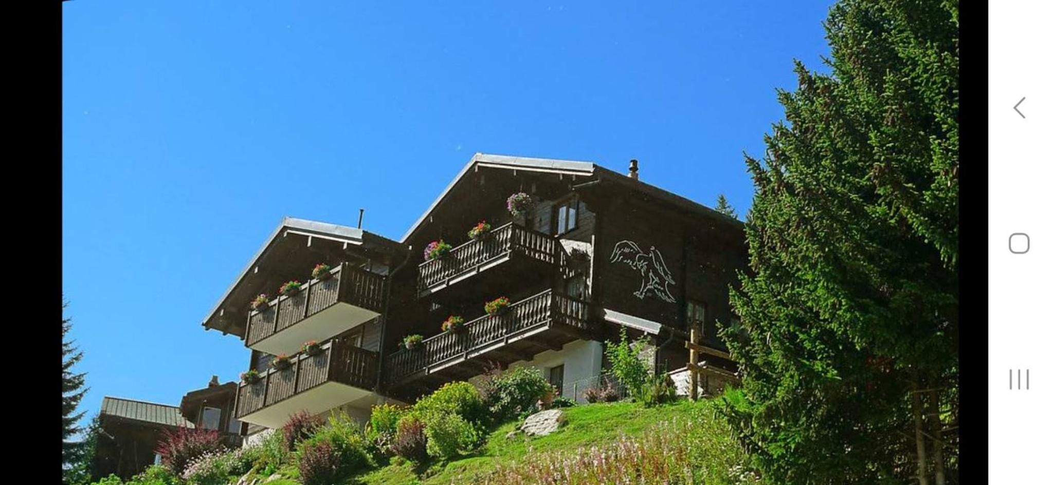 Chalet Adler Bettmeralp