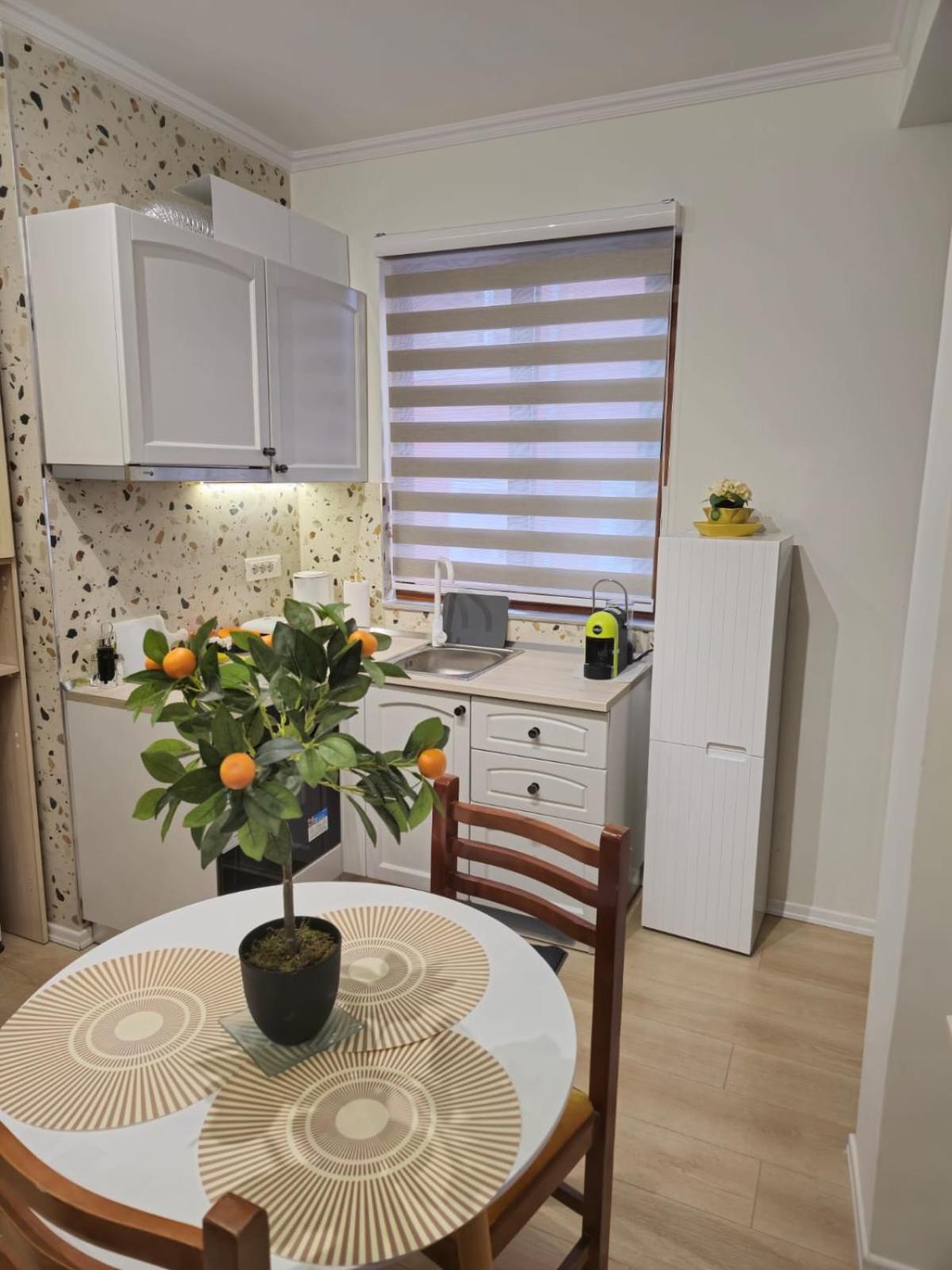 Myslym Shyri cozy lovely Central Orange Apt