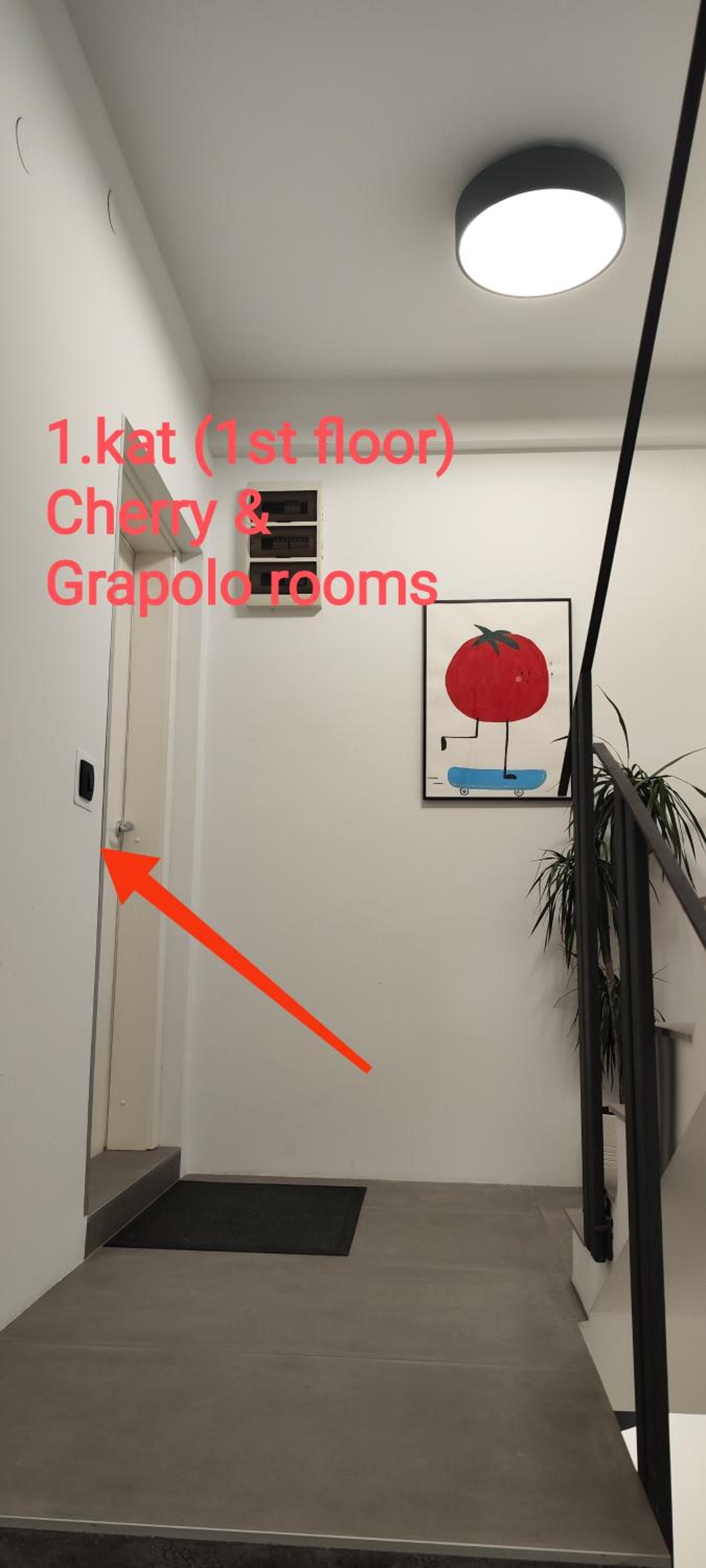 POMODORO ROOMS