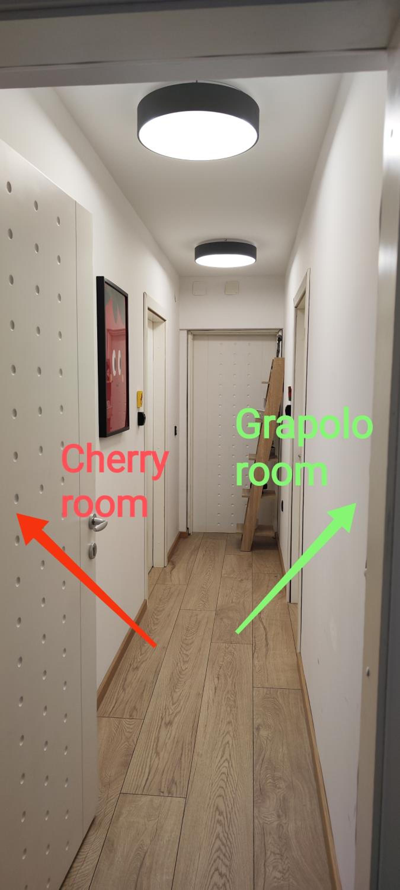 POMODORO ROOMS