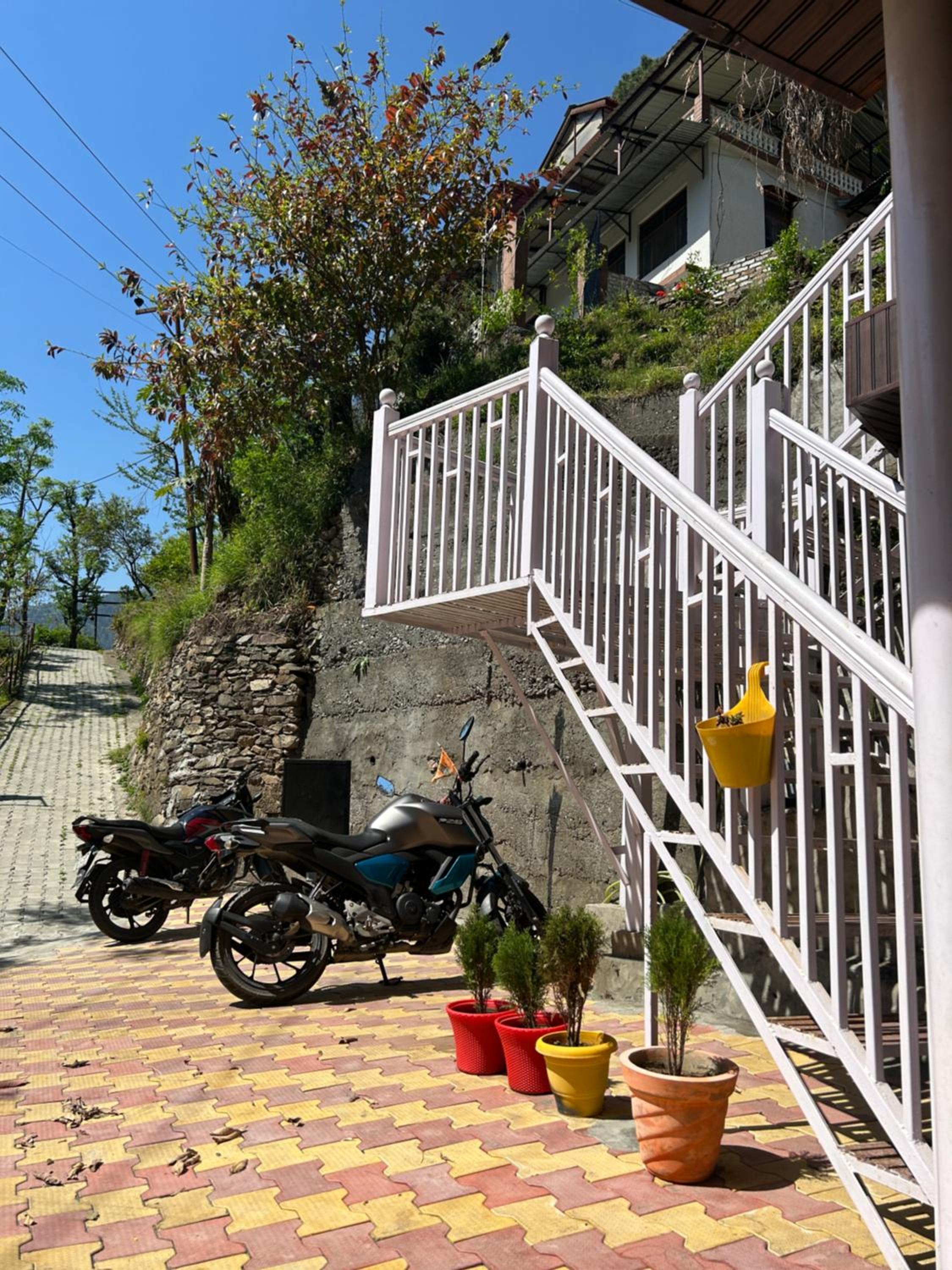 Photo 19