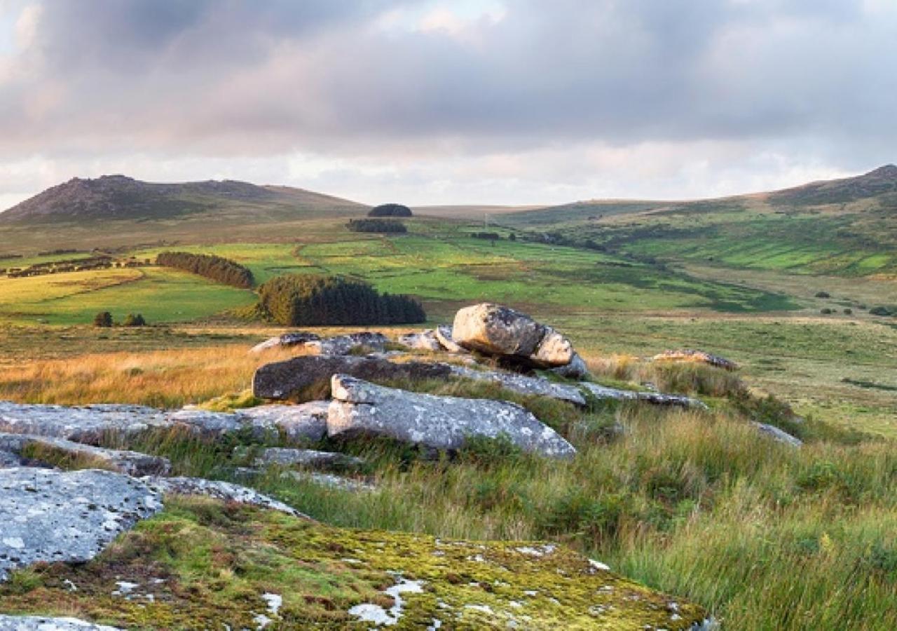 The Linney