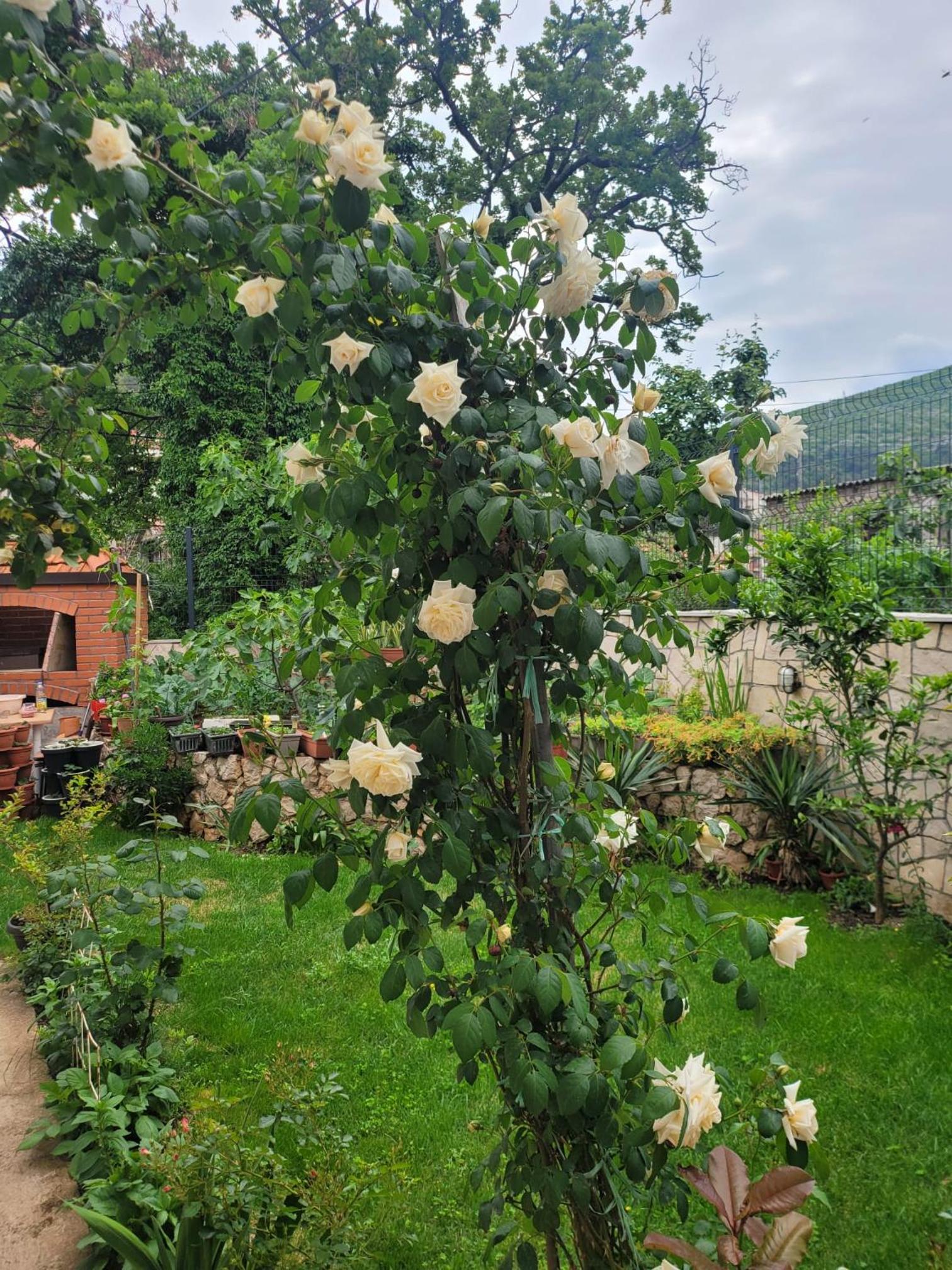 Apartman Sonja Trebinje