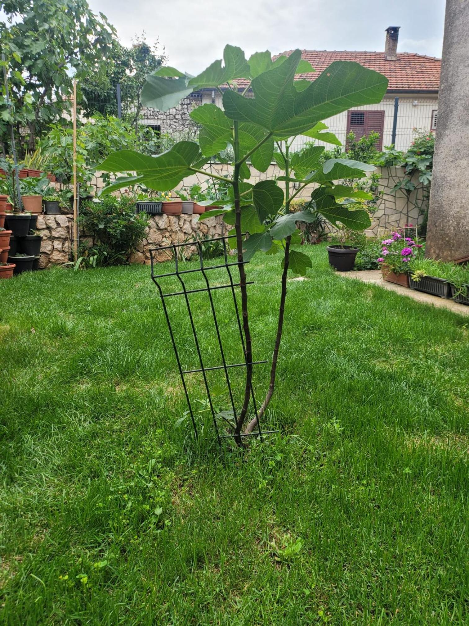Apartman Sonja Trebinje