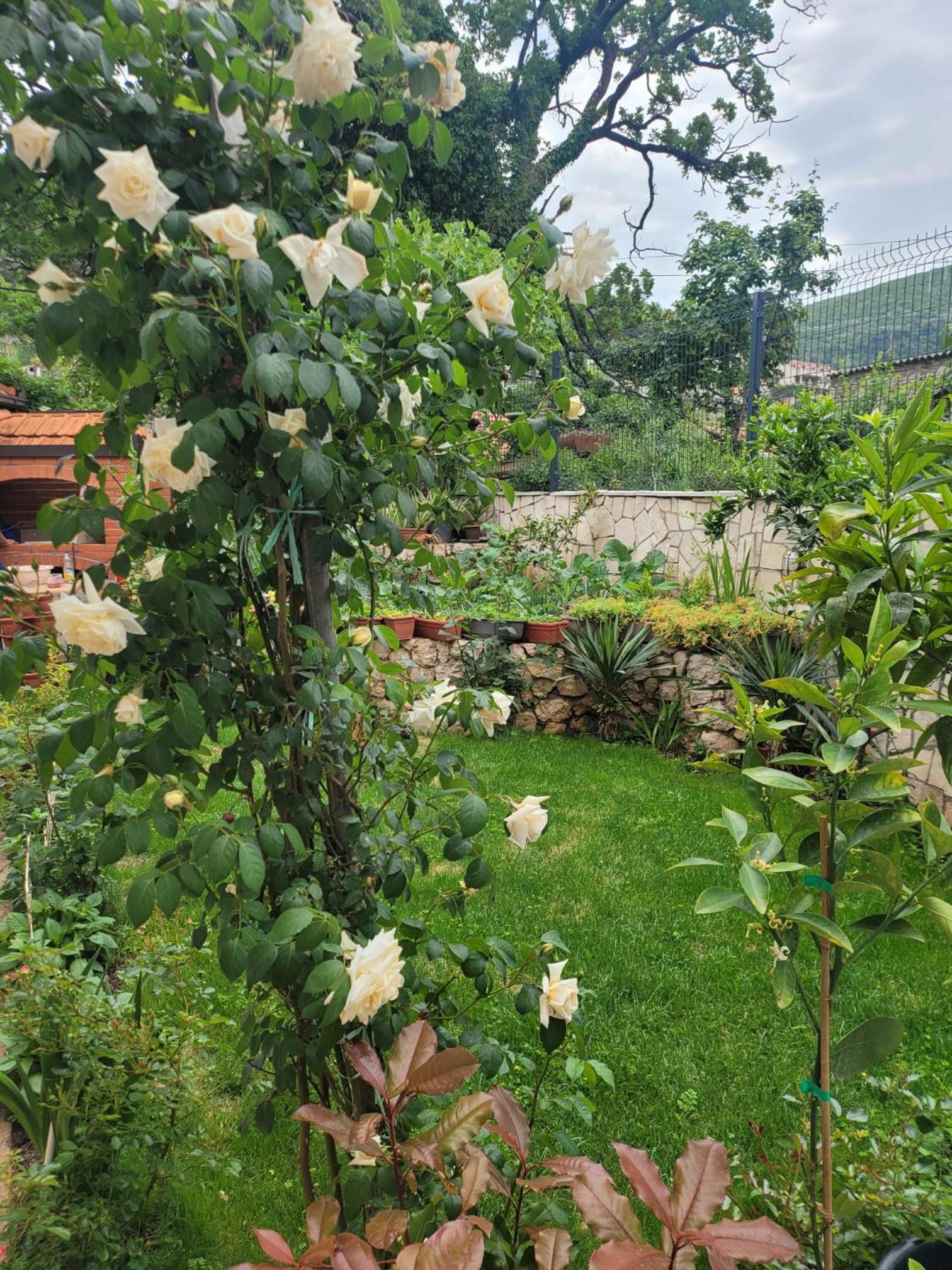 Apartman Sonja Trebinje