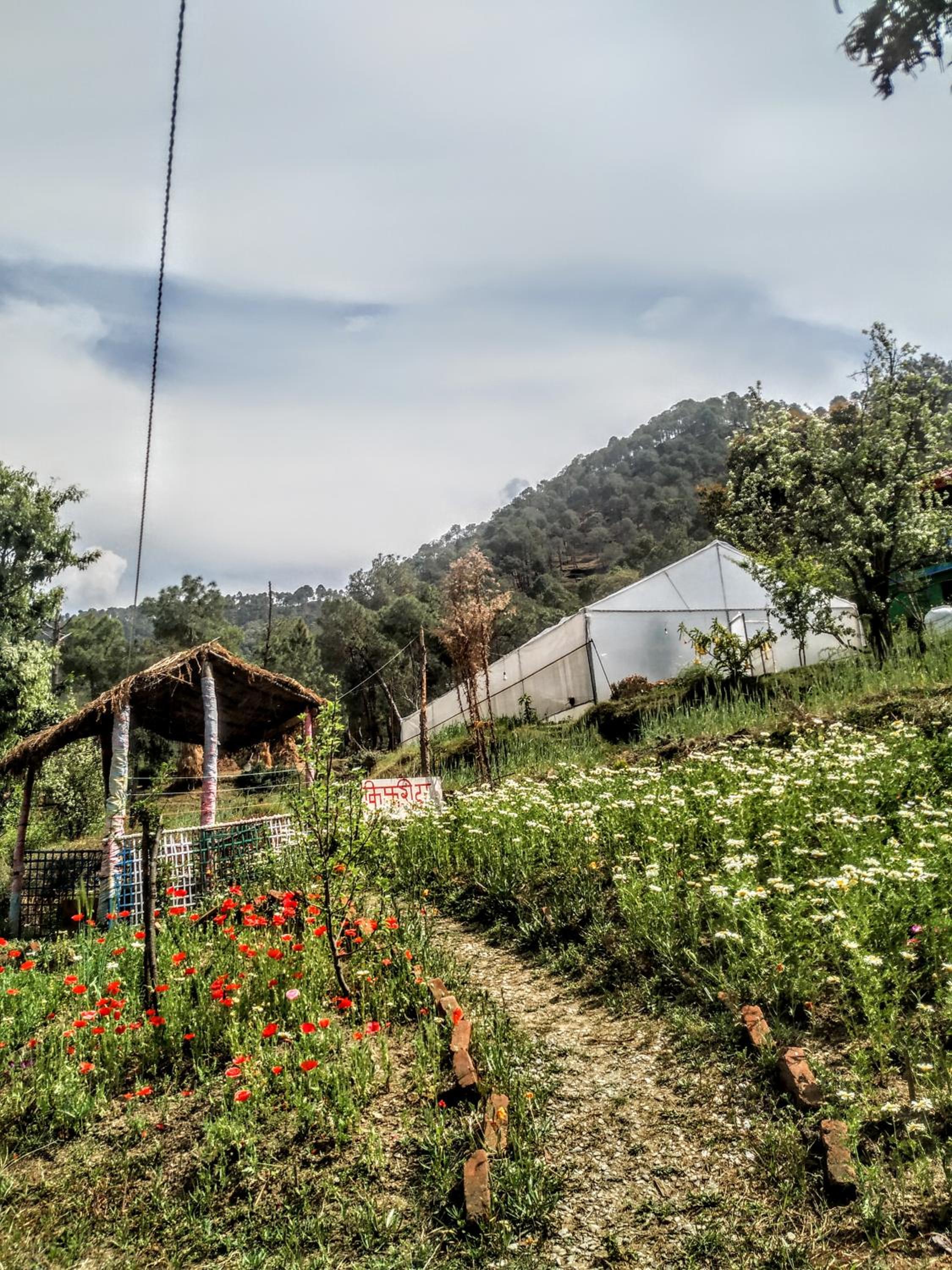 The Chakras Valley Homestay view 4