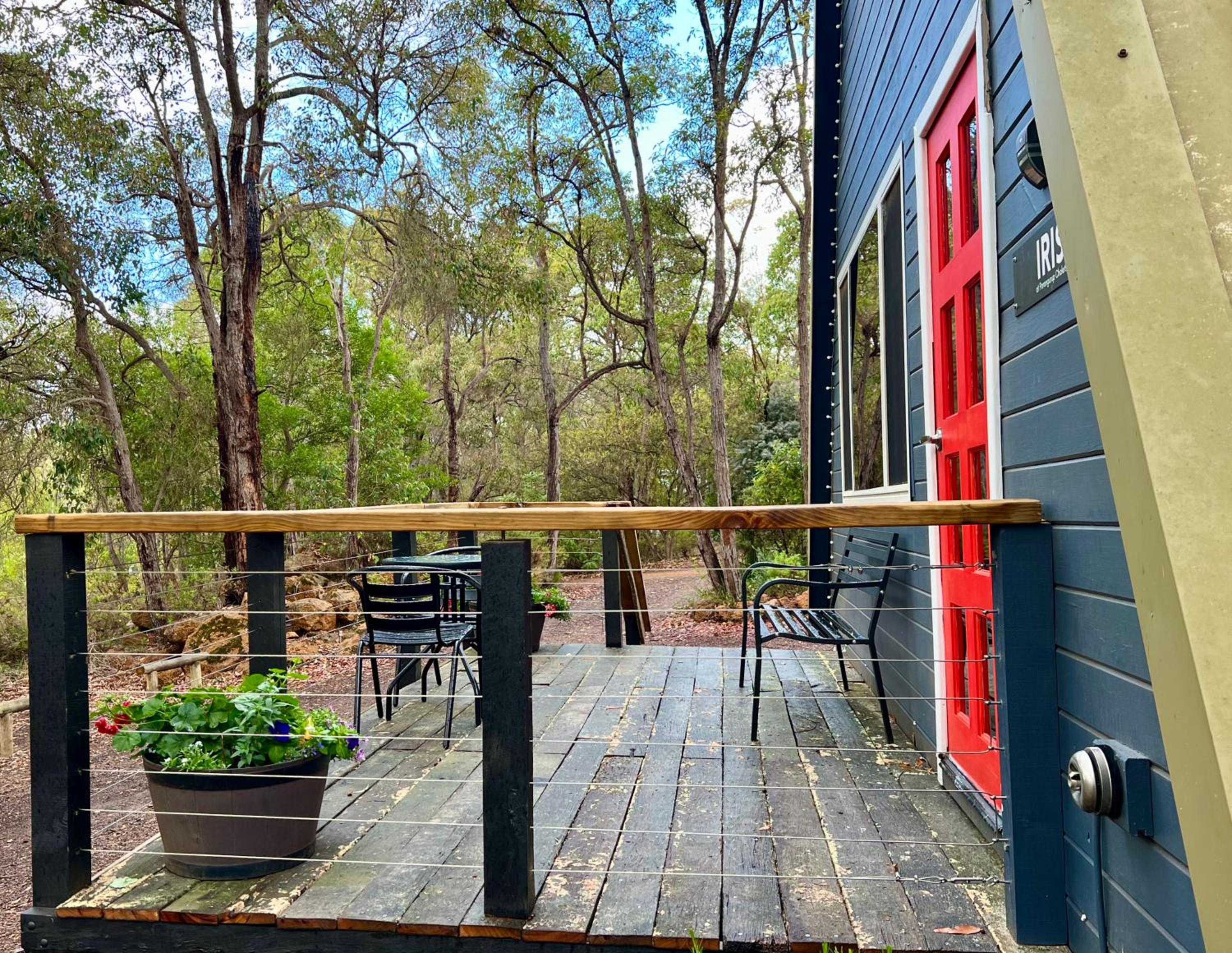 Iris at Porongurup Chalets