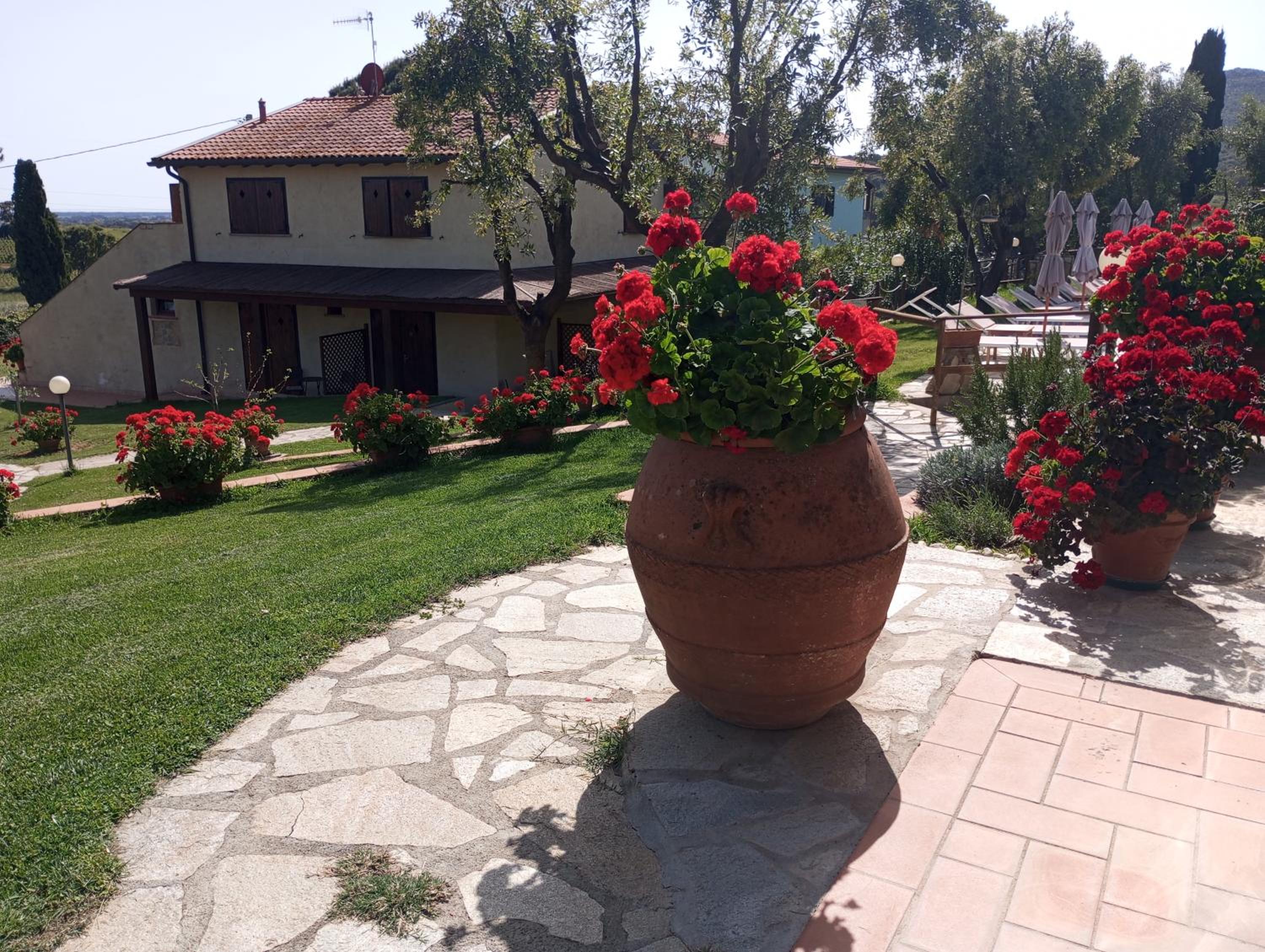 Agriturismo La Luciana
