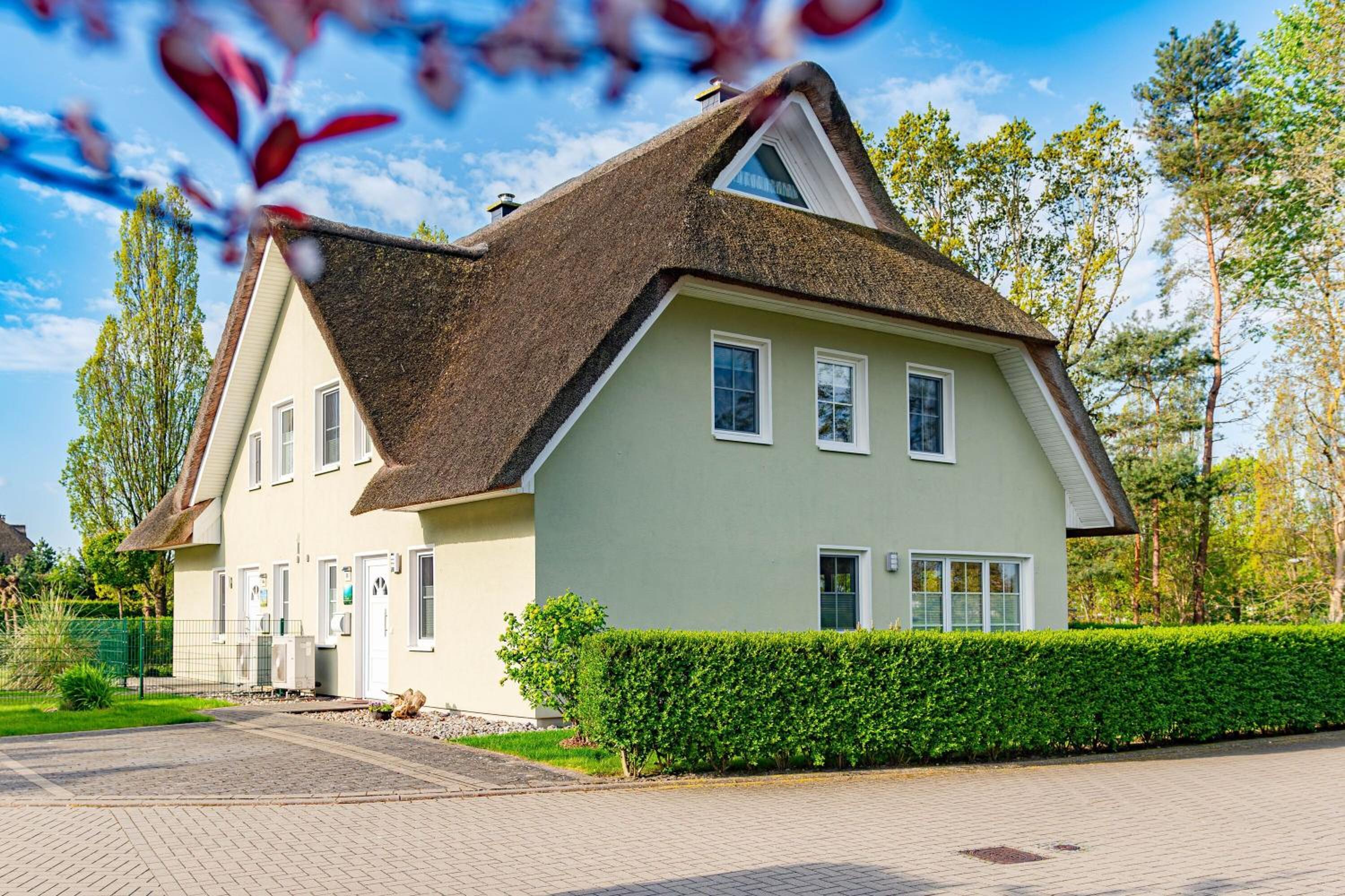 Ferienhaus Seegras view 3